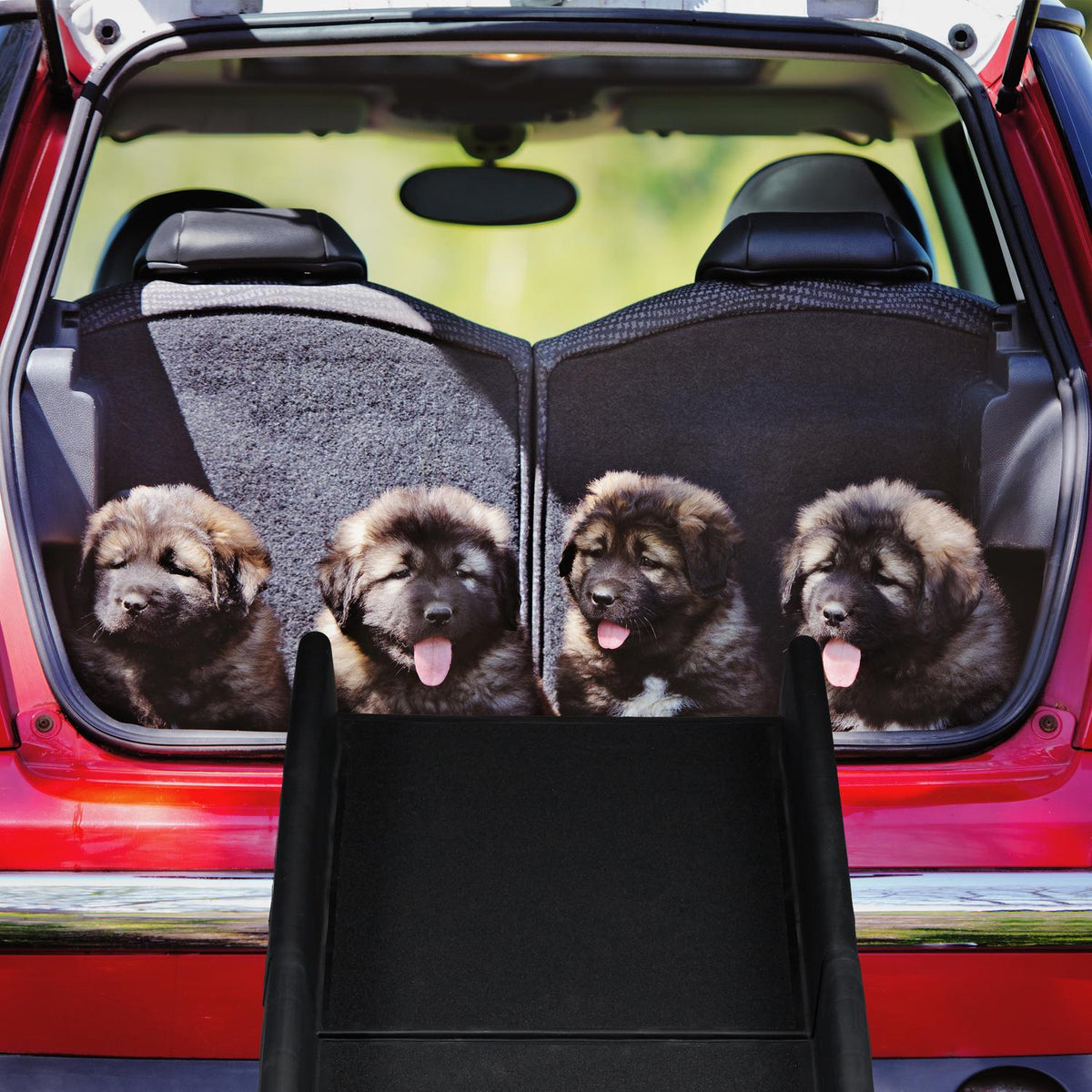 Dog ramp car foldable