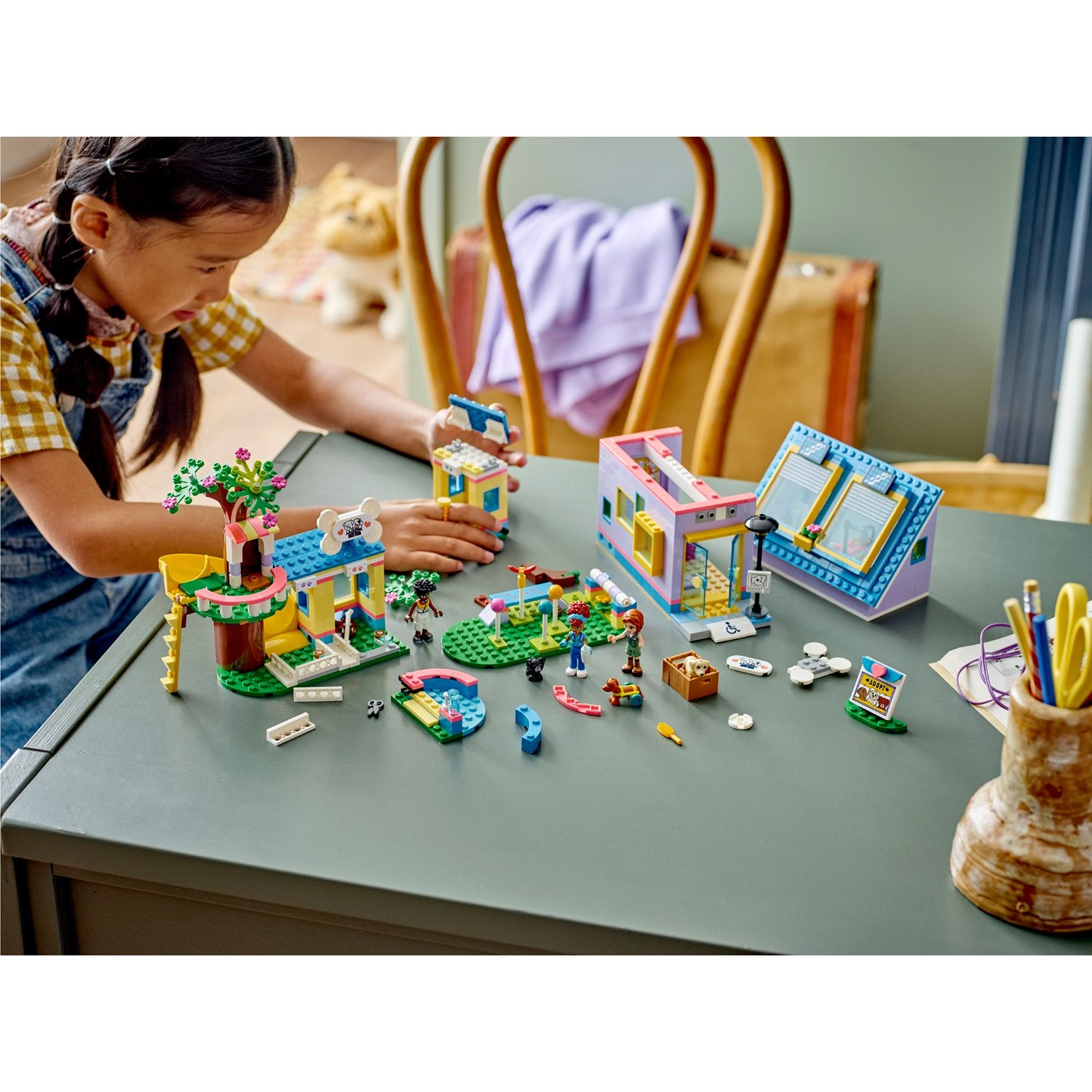 Dog rescue center 41727