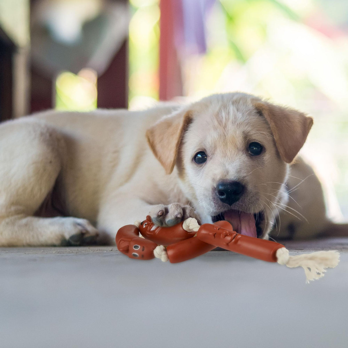 Dog toy Sausage