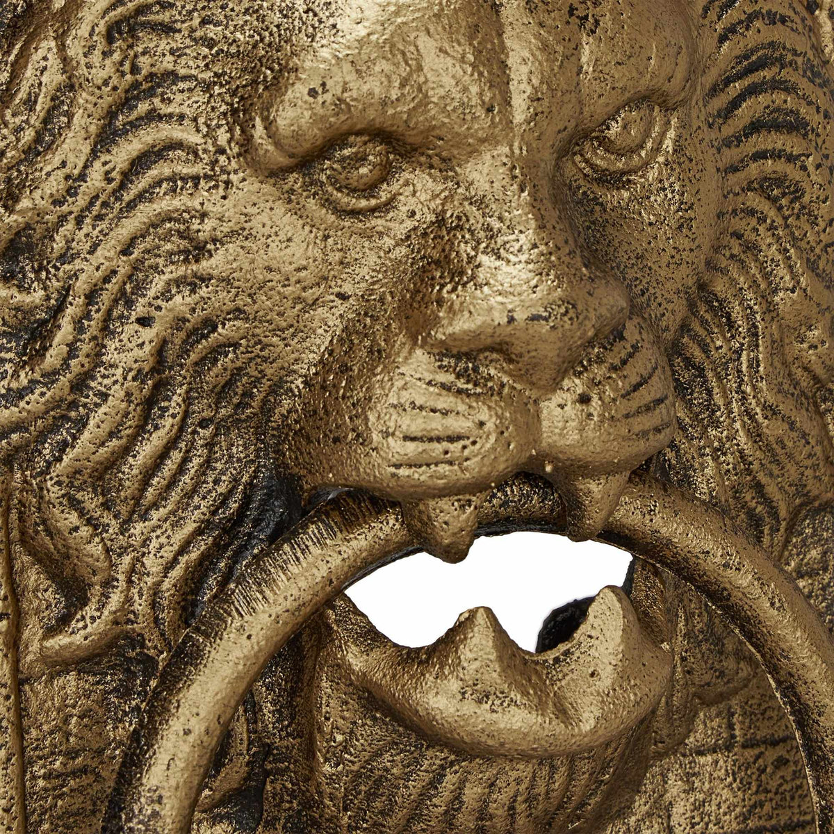 Door knocker lion