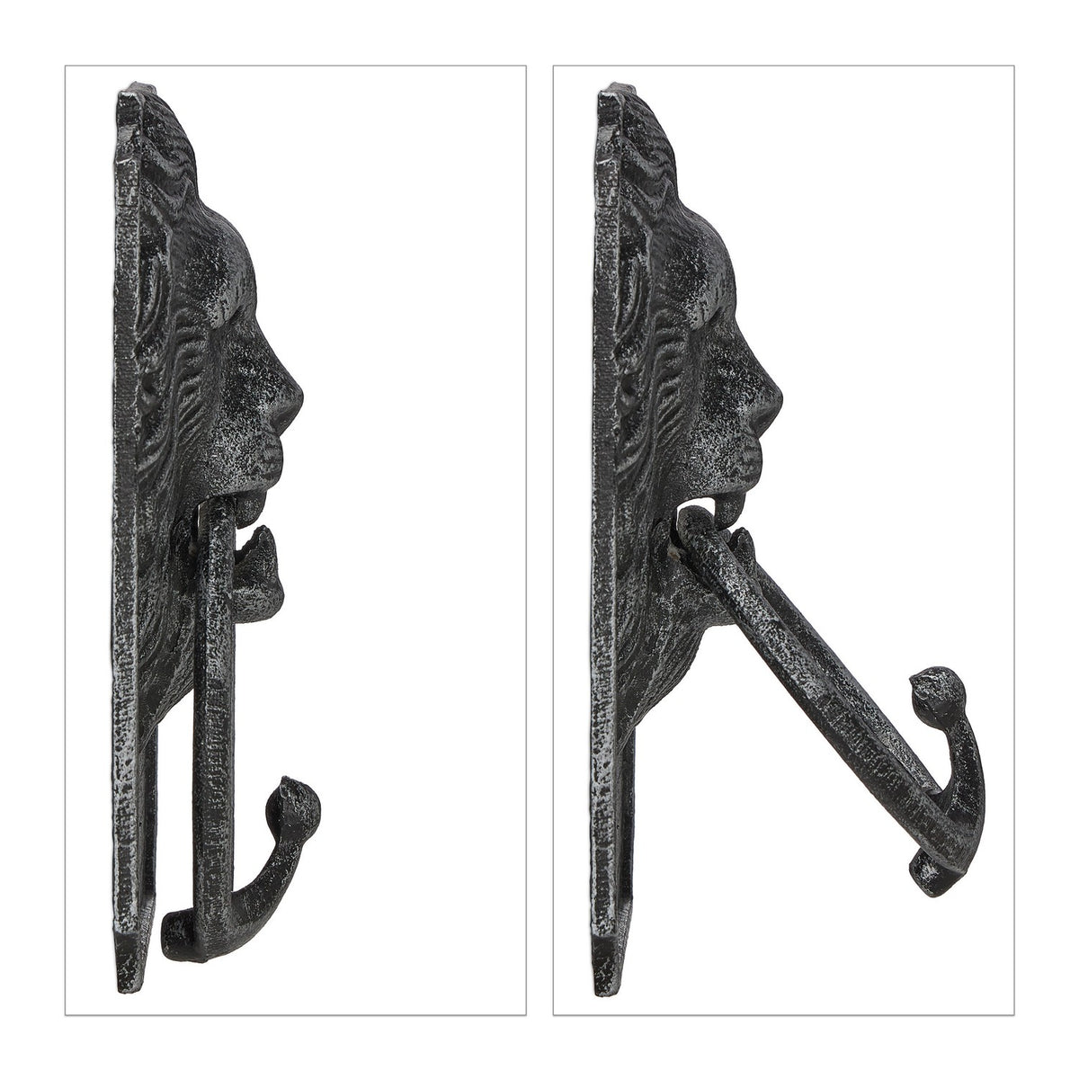 Door knocker lion