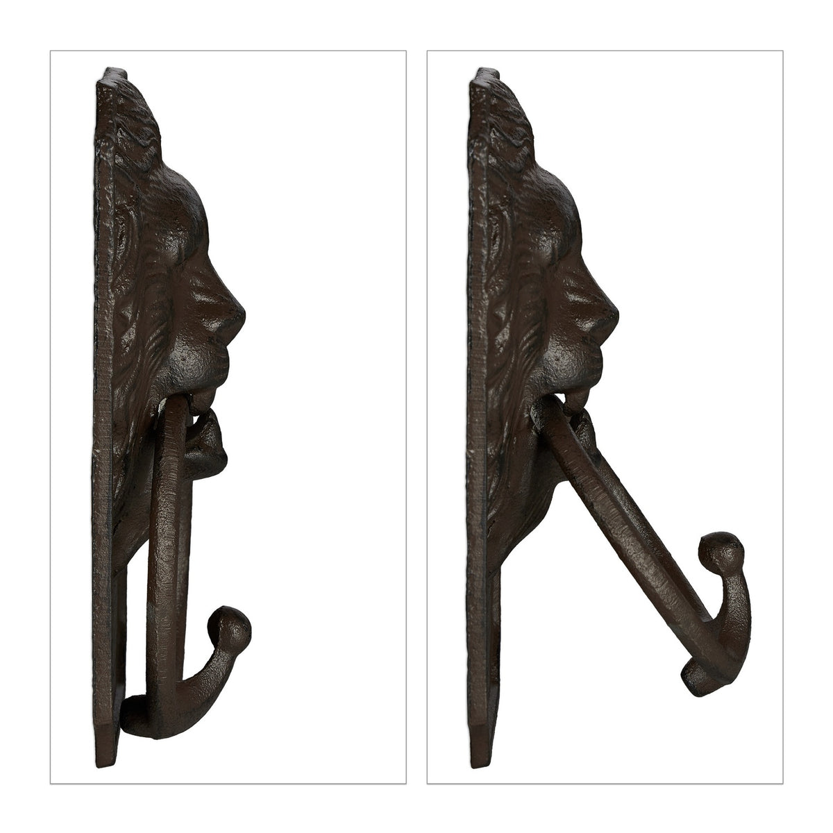 Door knocker lion