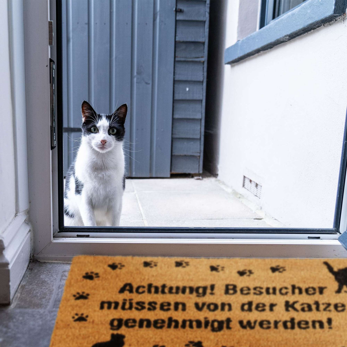 Doormat Coconut Cat