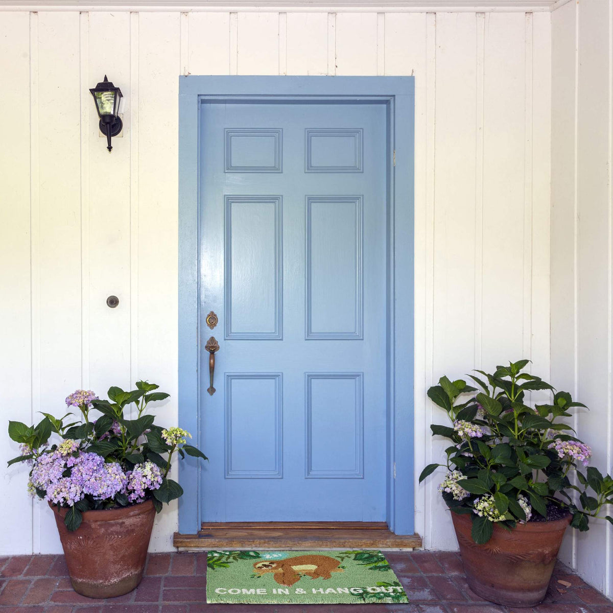 Doormat "Come In & Hang Out"