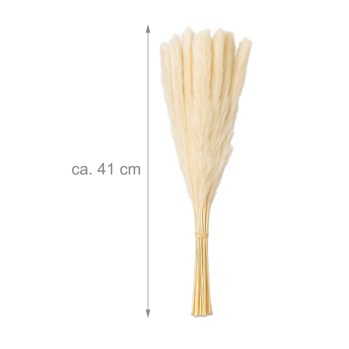 Dried Pampas Grass Set, 144 Pieces – Boho Decor