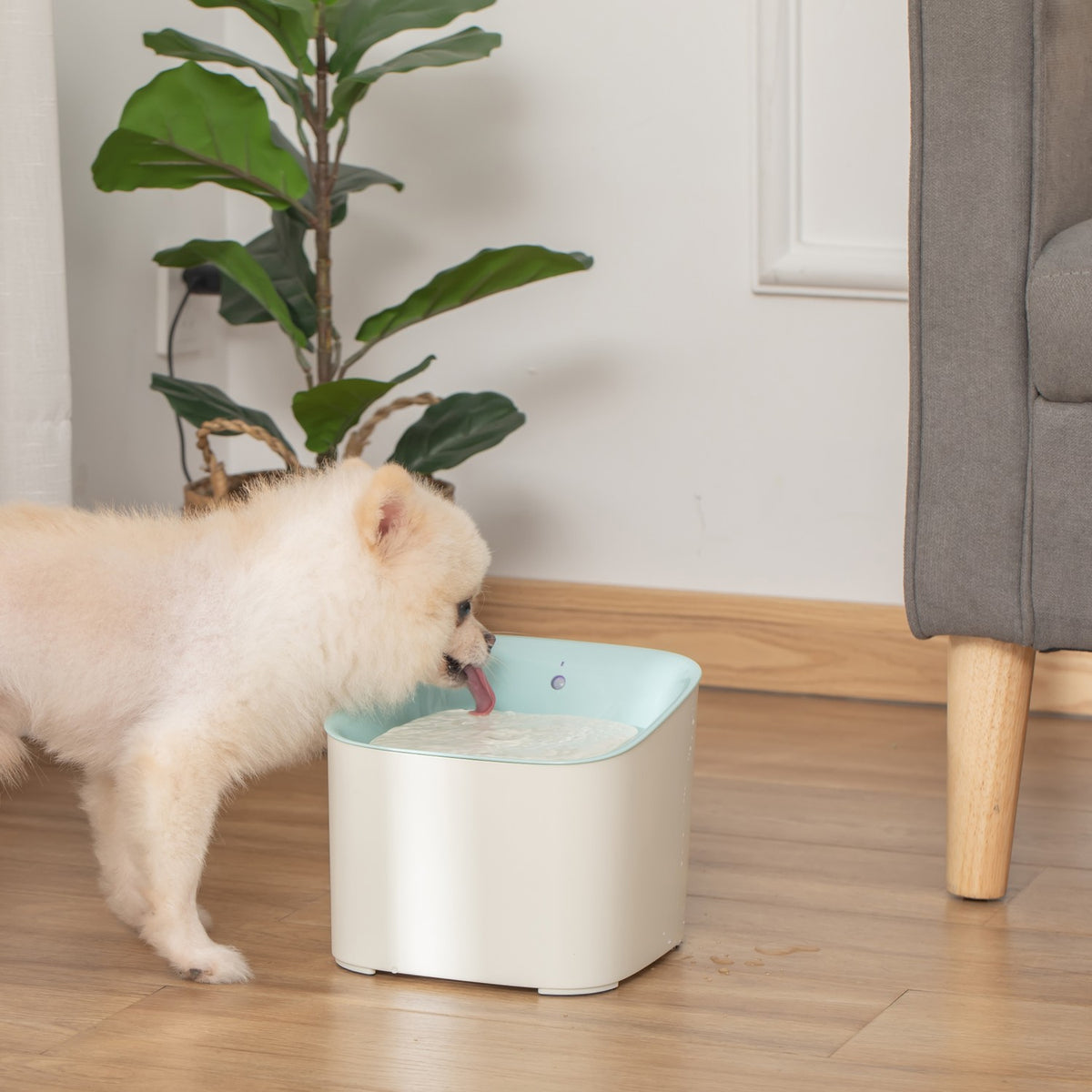 Drinking Fountain For Pets 3L Cat Fountain With Infrared Detection, 3 Modes, Quiet, Automatic, 21X20X18Cm