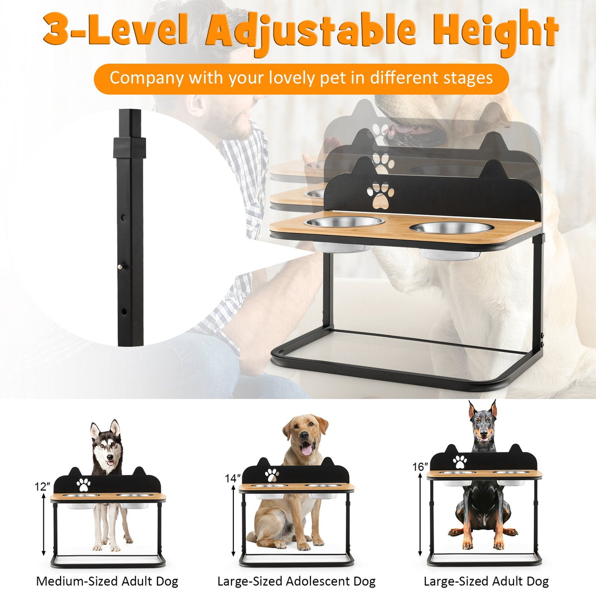 Elevated Dog Bowl Stand, 2 Stainless Bowls, Adjustable