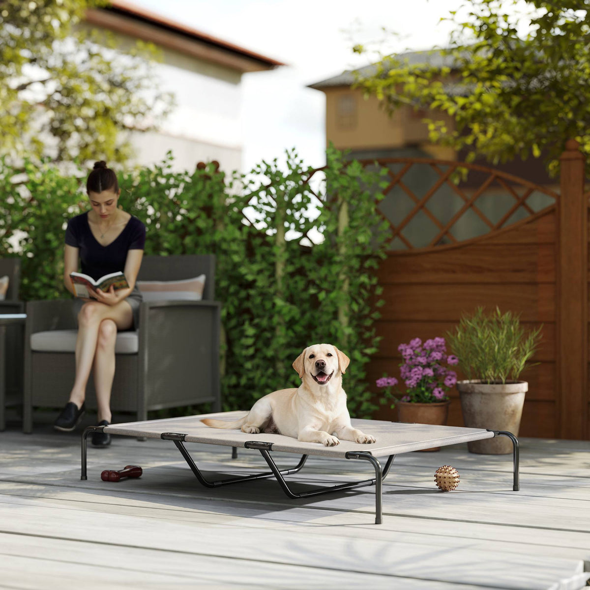 Elevated Outdoor Dog Bed, Large, Mesh, 23cm High