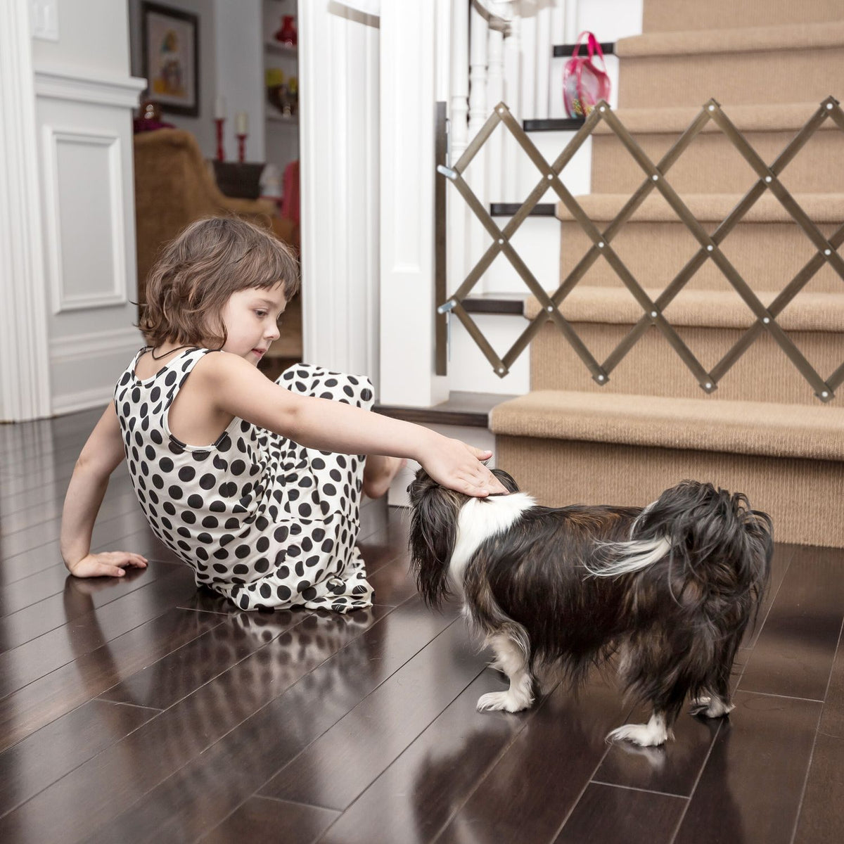 Extendable Dog Barrier in Brown