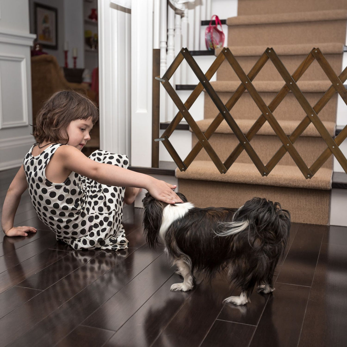 Extendable dog guard in brown