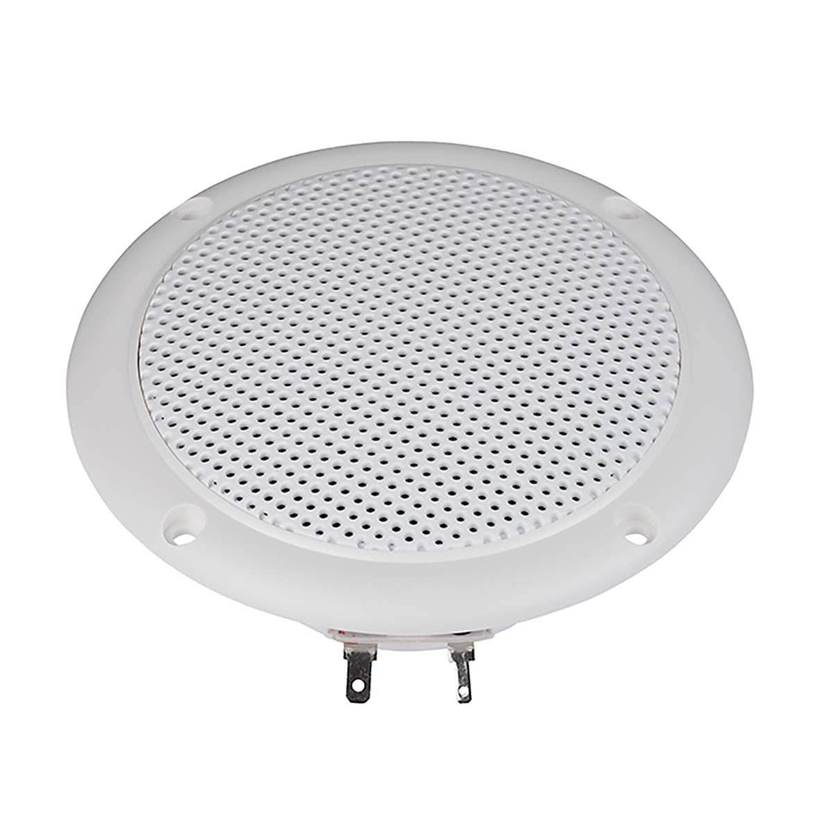 FR 10 WP - 4 Ohm (white) - Salt water resistant 10 cm (4") full-range driver