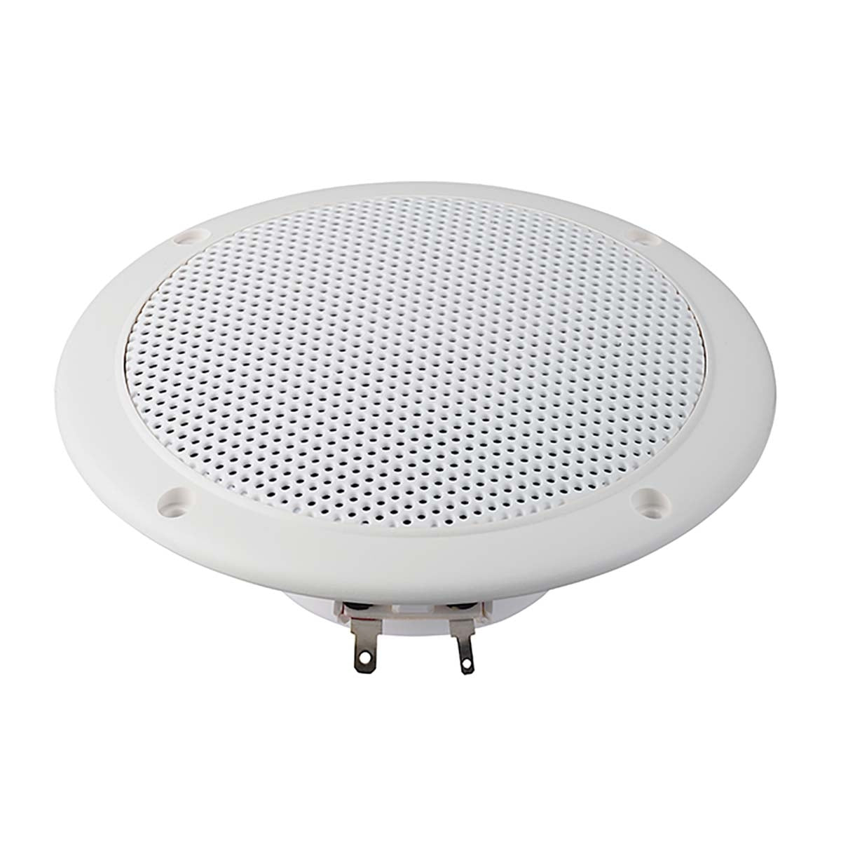 FR 13 WP - 4 Ohm (white) - Salt water resistant 13 cm (5") full-range driver