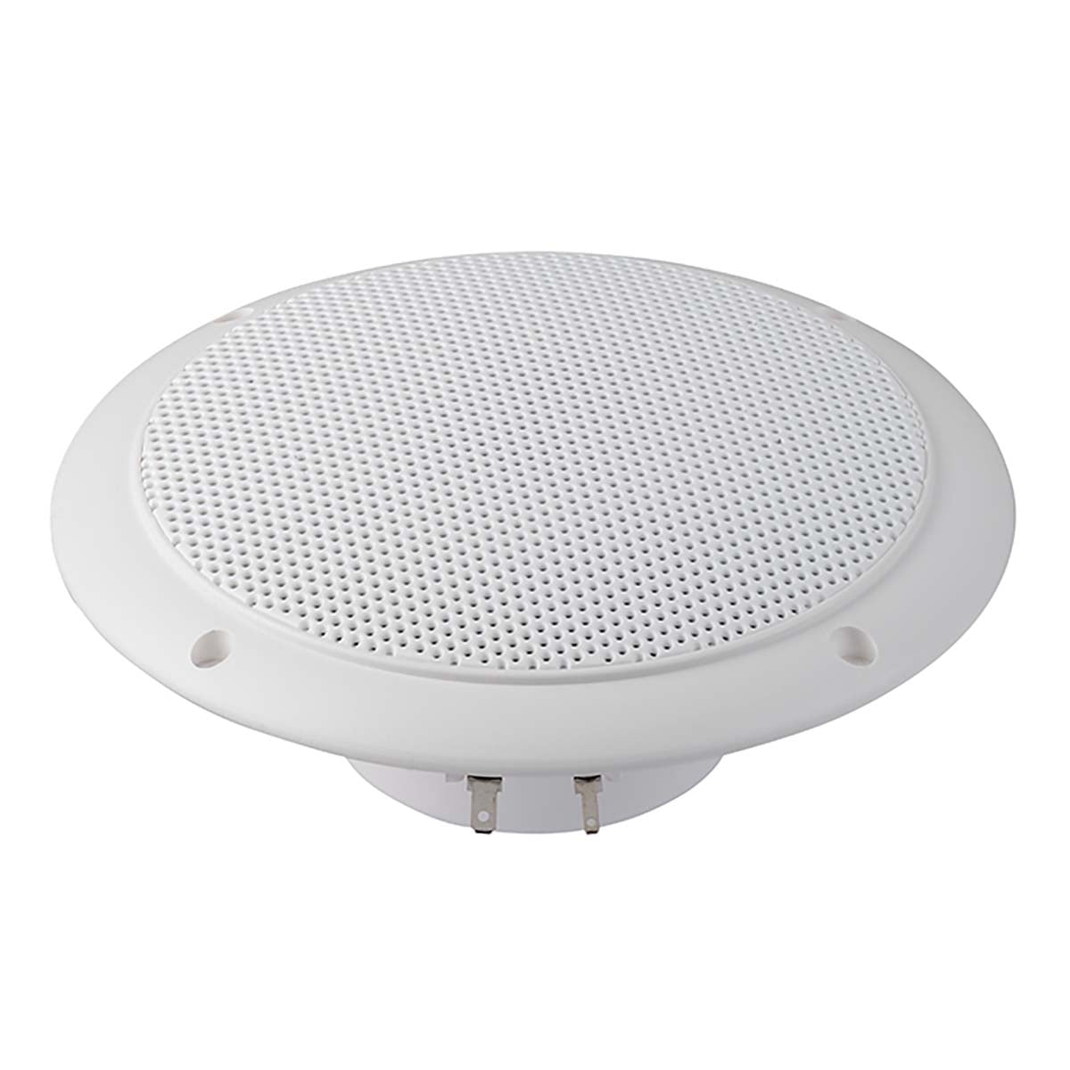 FR 16 WP - 4 Ohm (white) - Salt water resistant 16 cm (6.5") full range speaker