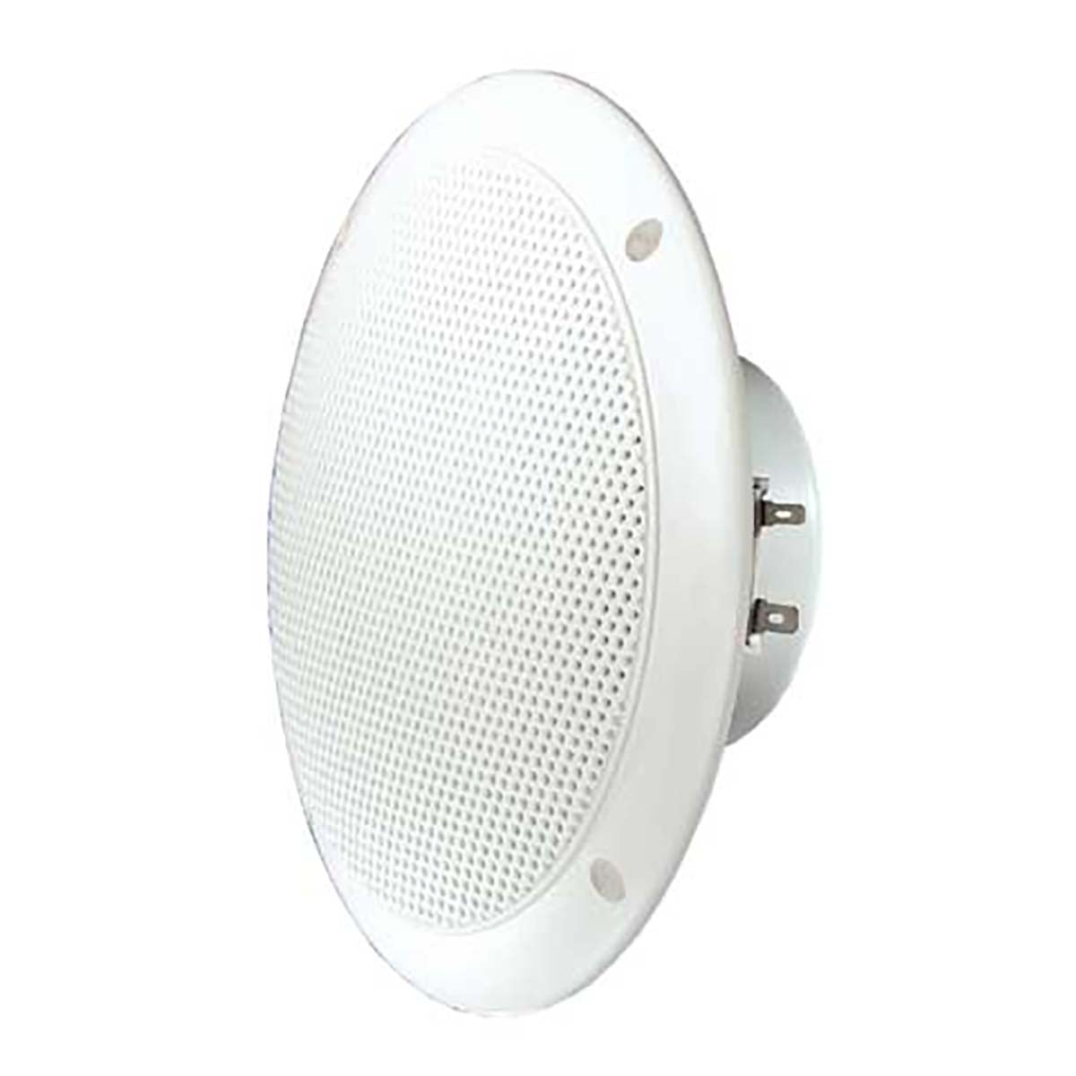FR 16 WP - 4 Ohm (white) - Salt water resistant 16 cm (6.5") full range speaker