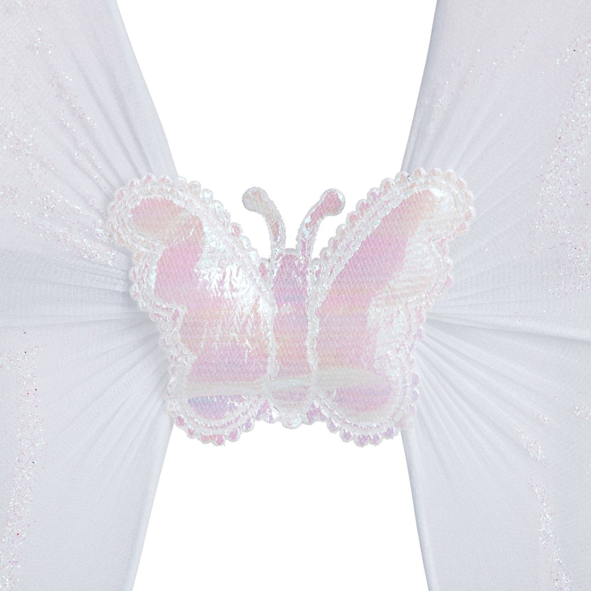 Fairy wings with wand