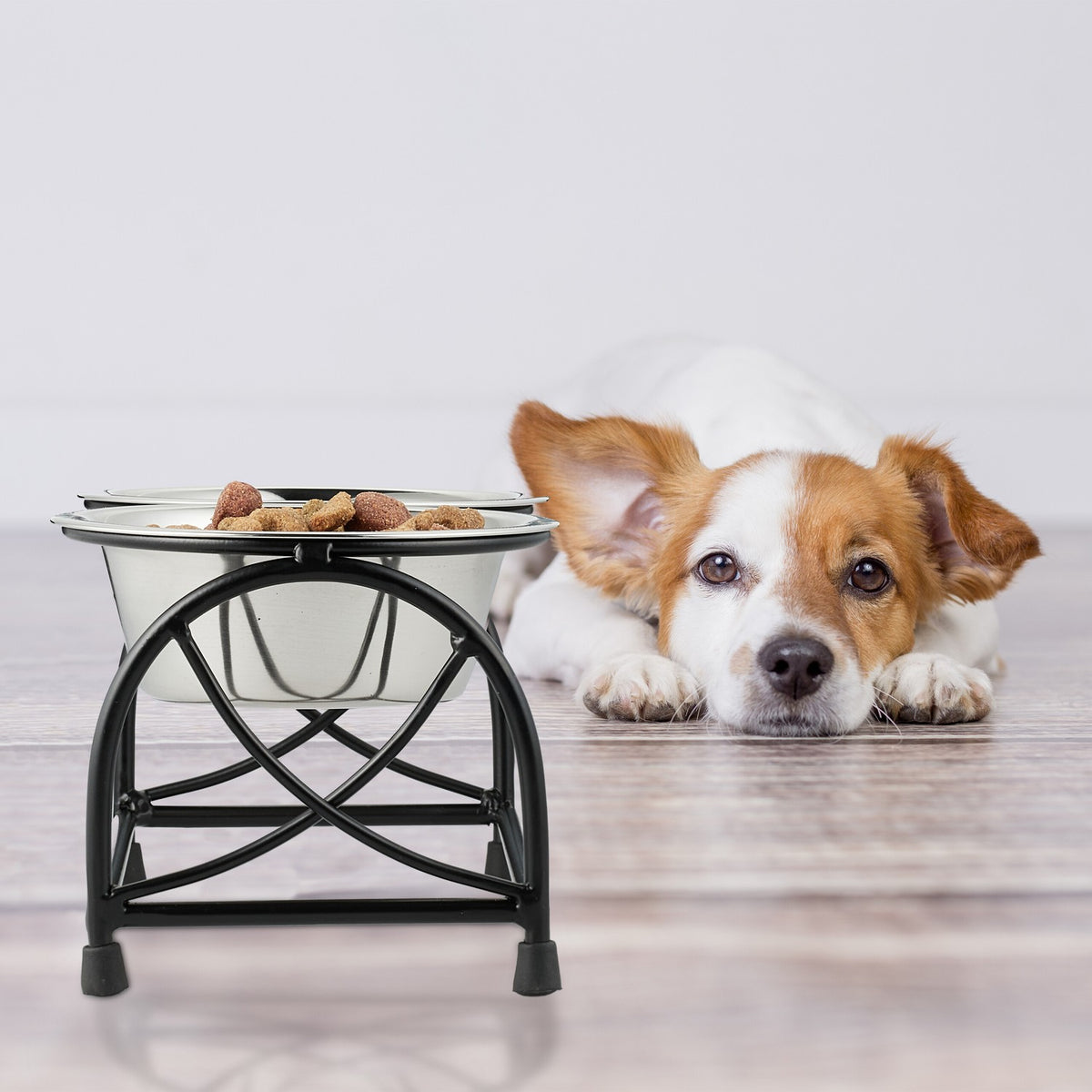 Feeding station for dogs