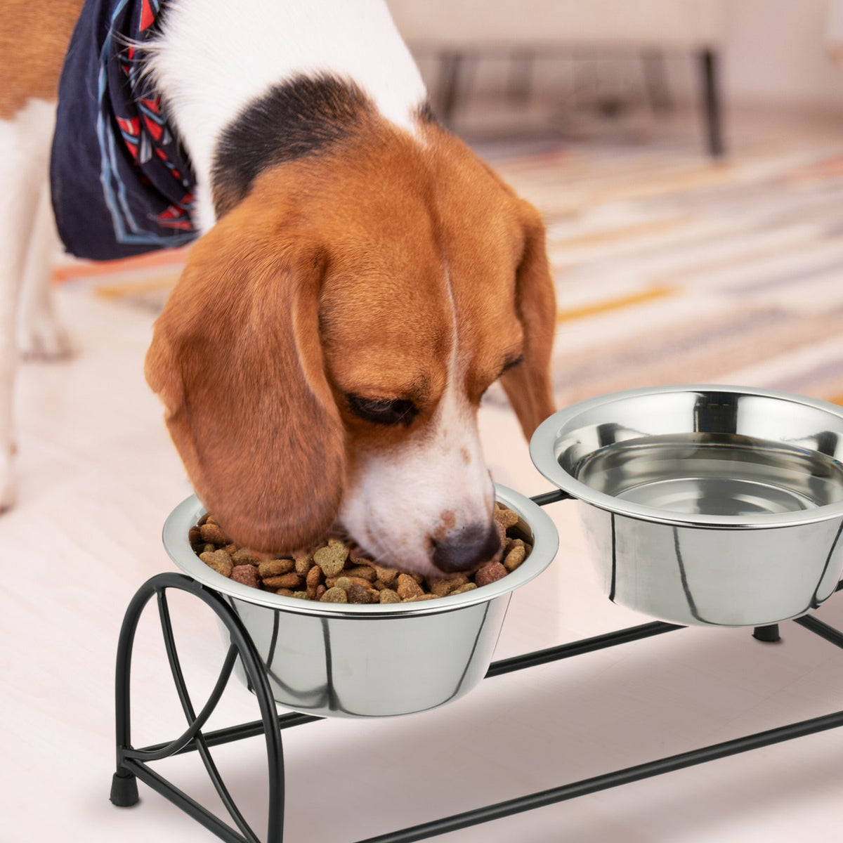 Feeding station for dogs