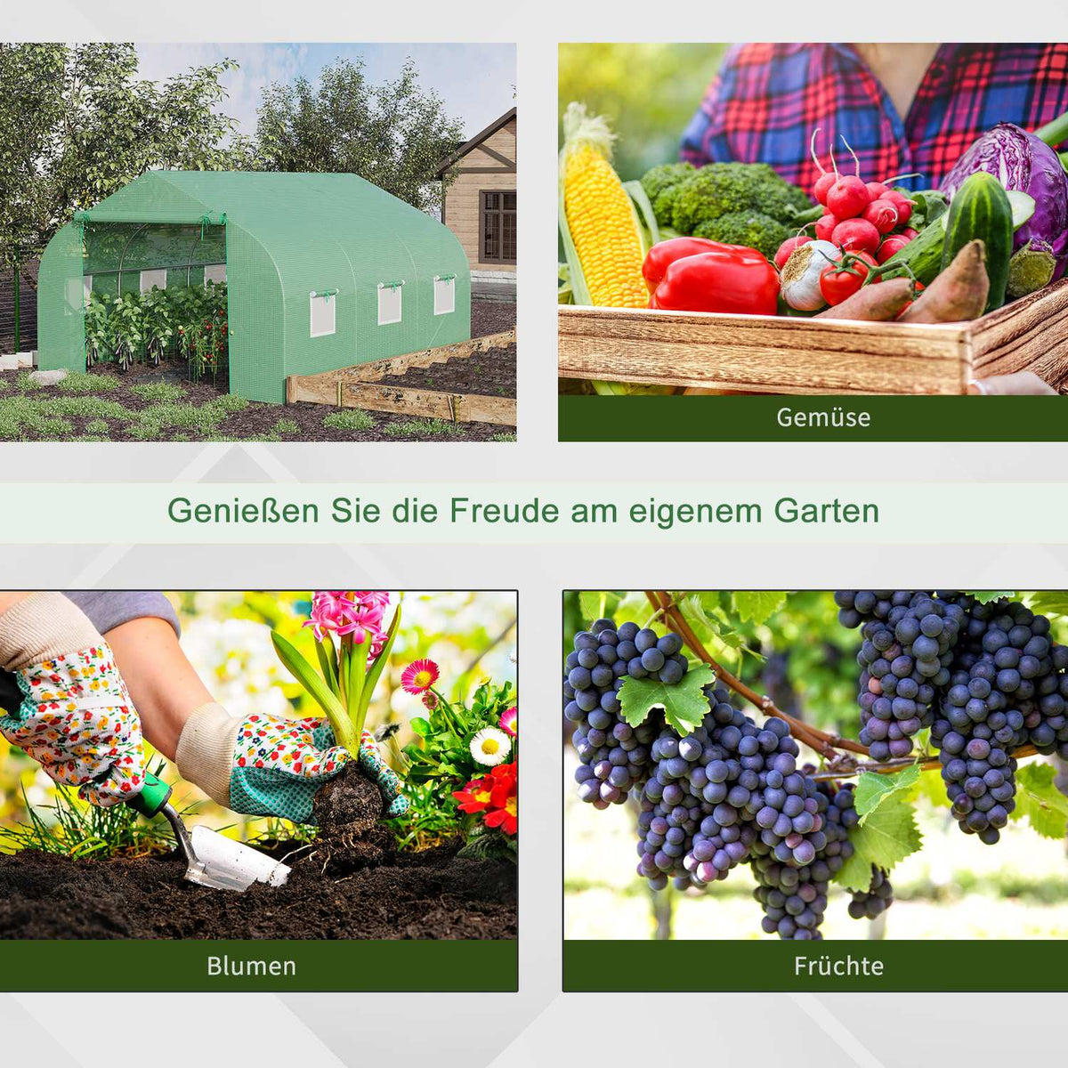 Film Greenhouse Film Greenhouse Greenhouse Cold Frame Plant House Tomato House Gable Roof 350 × 300W × 200H Cm