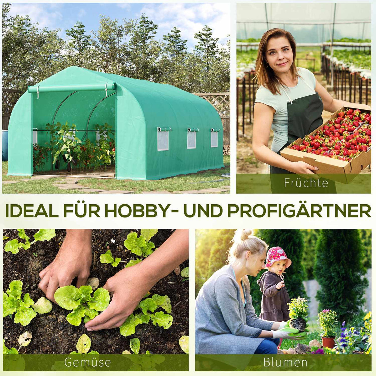 Film Greenhouse Film Greenhouse Greenhouse Cold Frame Plant House Tomato House Gable Roof 450 × 300W × 205H Cm