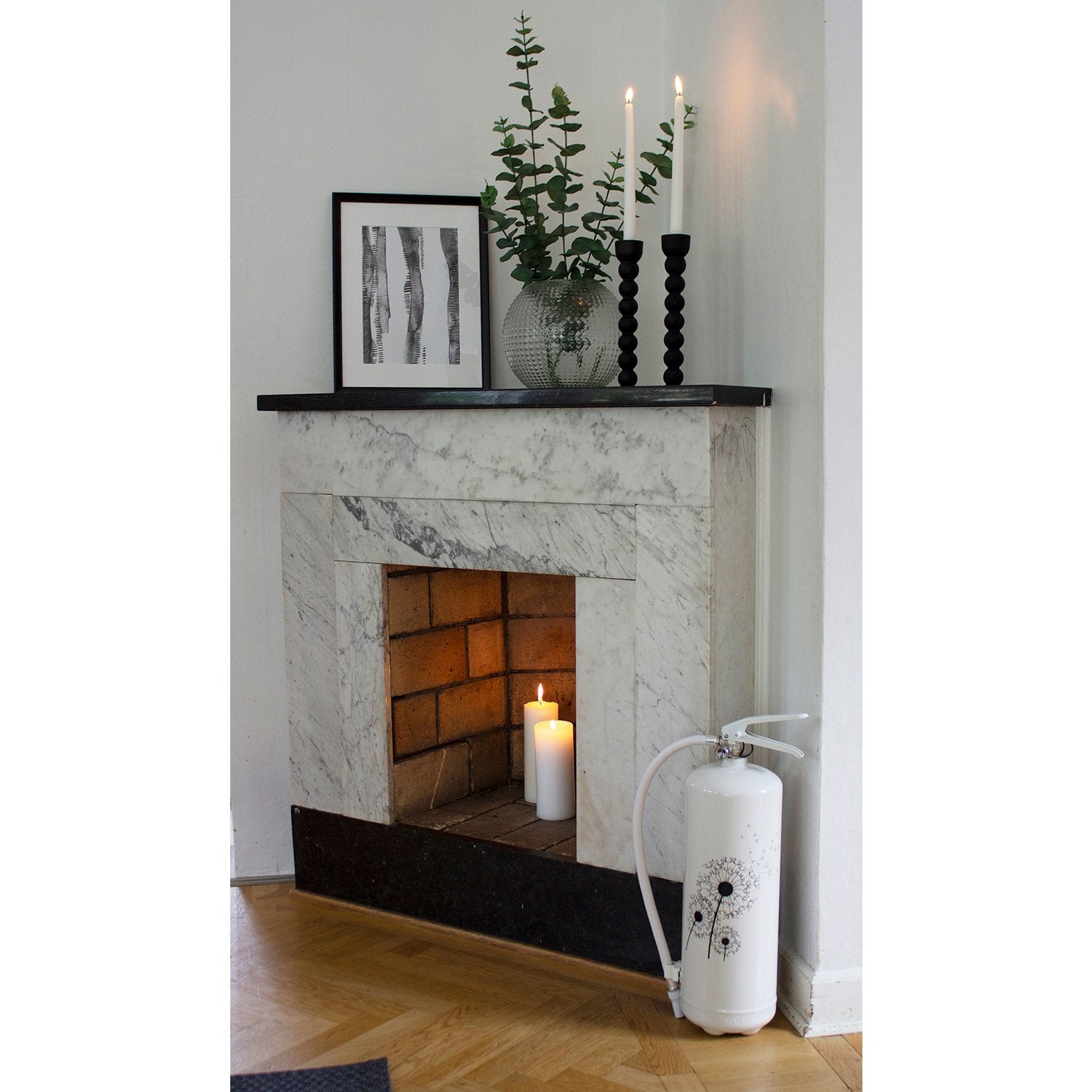 Fire extinguisher Dandelion 6kg 43A