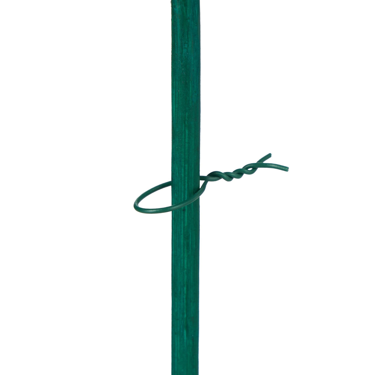 Flower sticks 30 cm in a set of 50