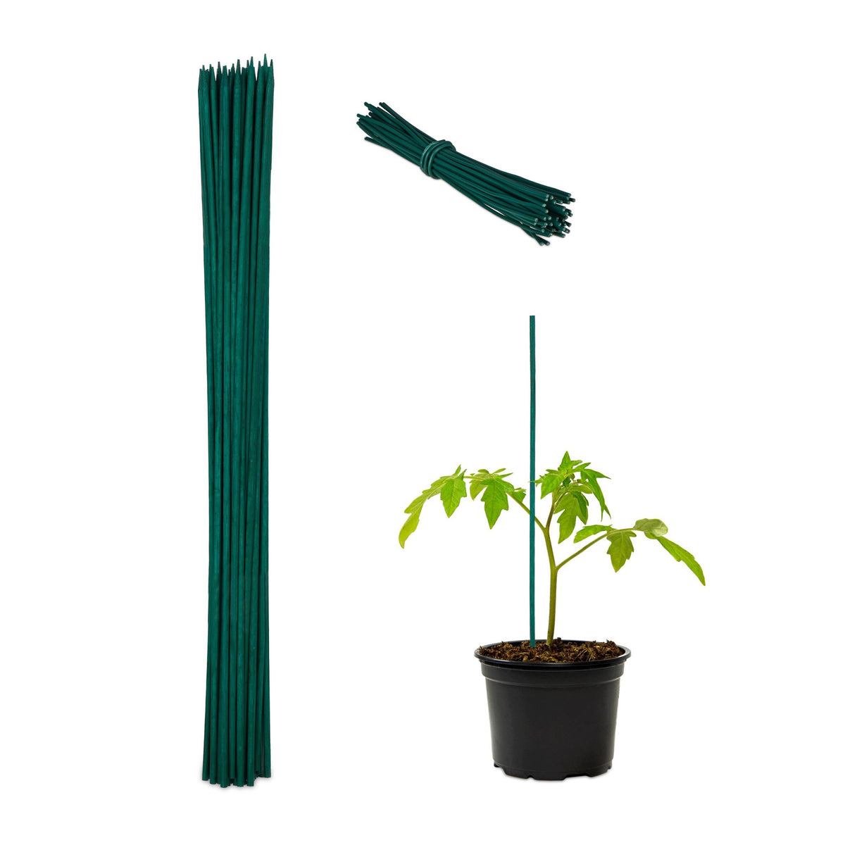 Flower sticks 60 cm in sets of 50