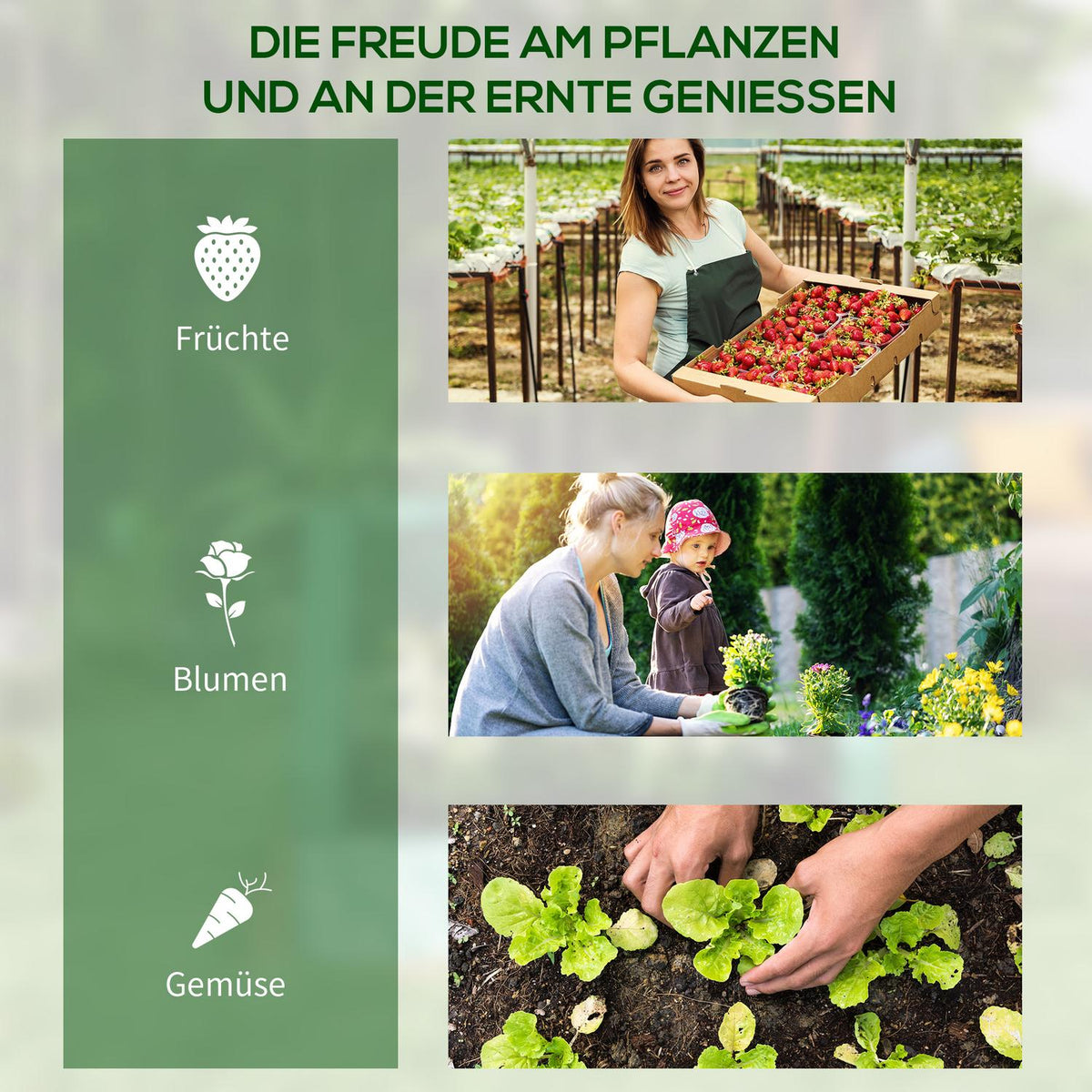 Foil Greenhouse Cold Frame With Raised Bed, 2 Windows, Ideal For Tomatoes, For Garden And Balcony, 70X70X90Cm, Green