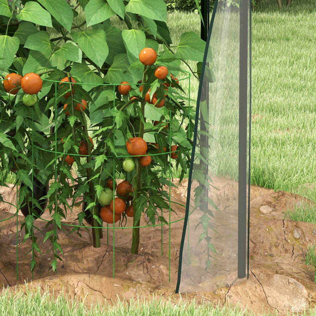 Foil greenhouse greenhouse with double door windproof plant house for garden 90 x 90 x 145 cm made of PE transparent