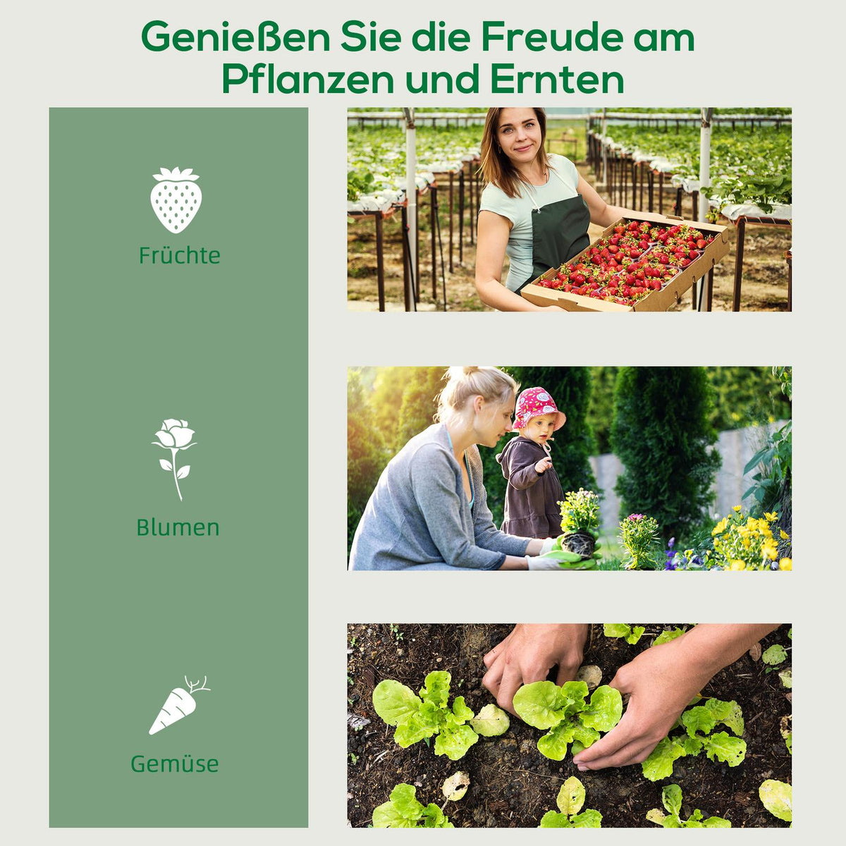 Foil greenhouse with roller, greenhouse with 4 shelves, foil greenhouse with steel frame, for garden, balcony 69 x 50 x 165 cm, green