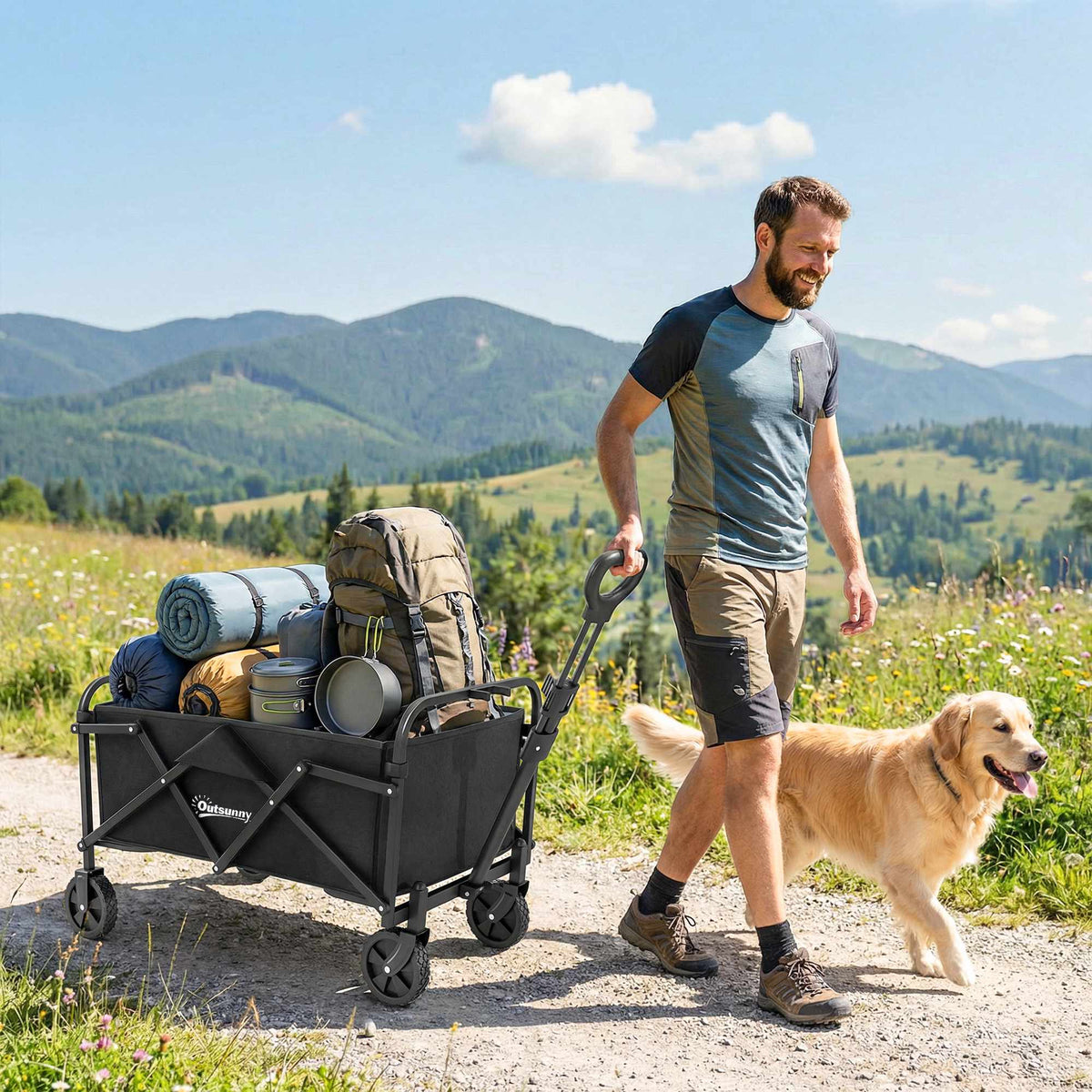 Folding Wagon with Adjustable Handle, 68kg Capacity, Black