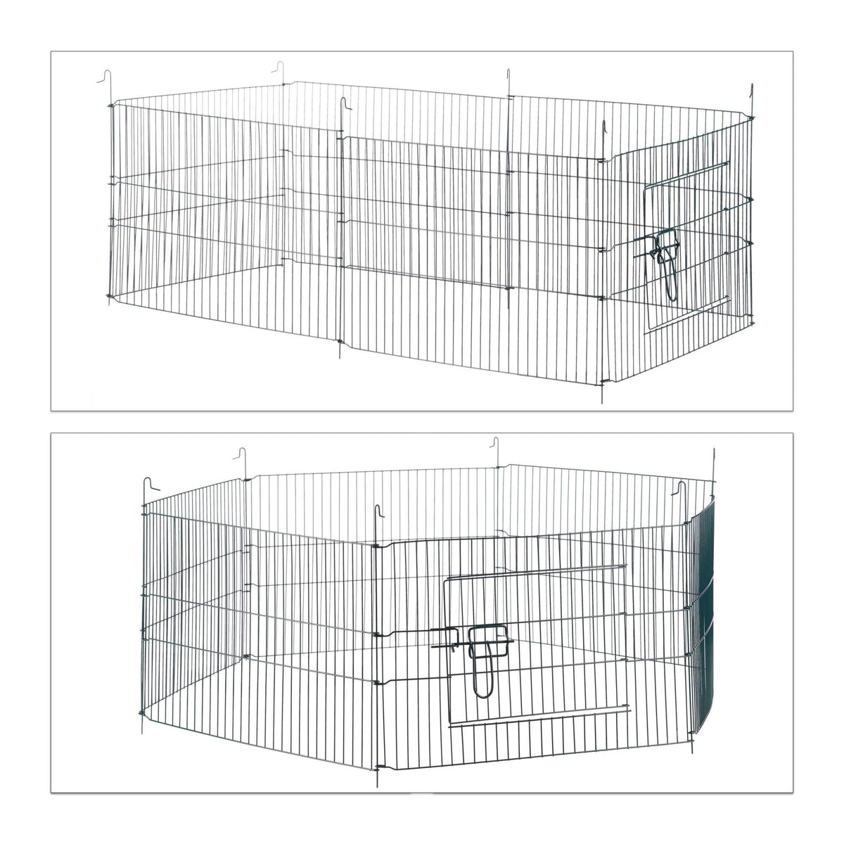Free range fenced with netting