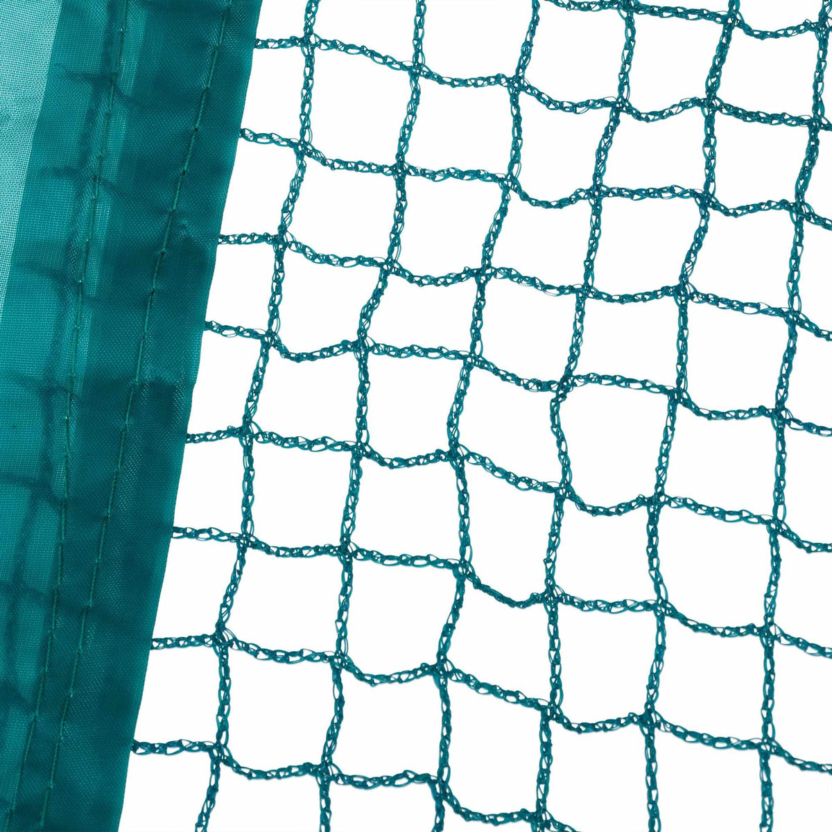 Free range fenced with netting