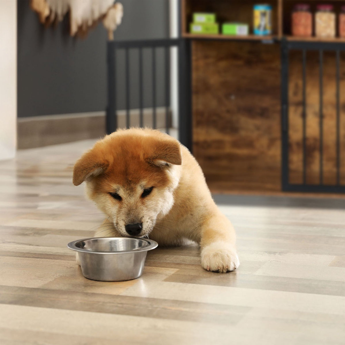 Furniture-style dog cage