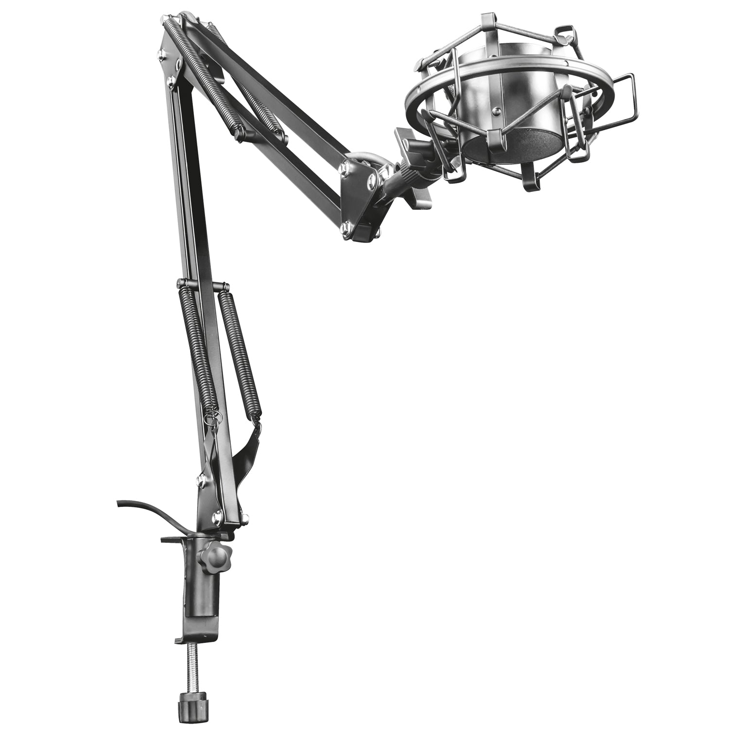 GXT 253 Emit Stream Mic Arm