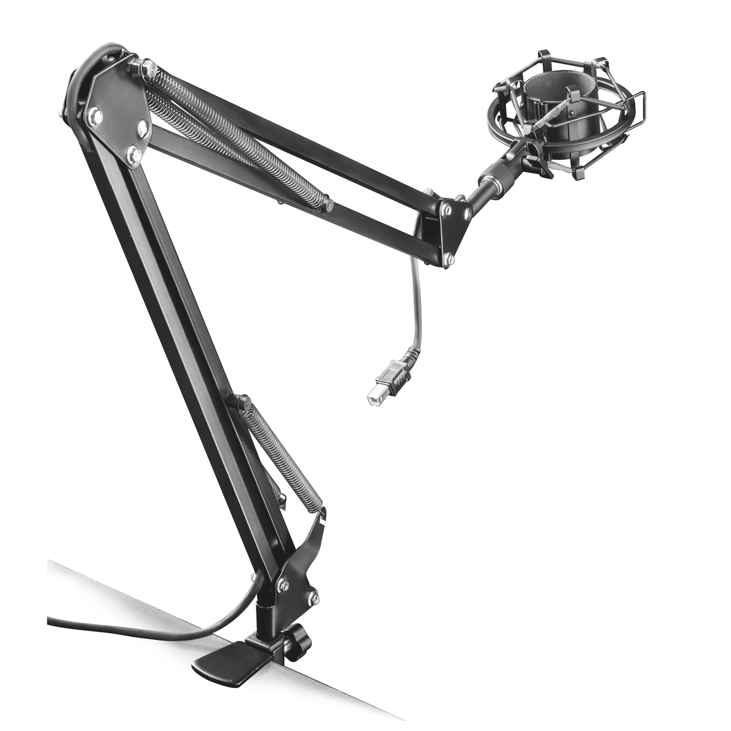 GXT 253 Emit Stream Mic Arm