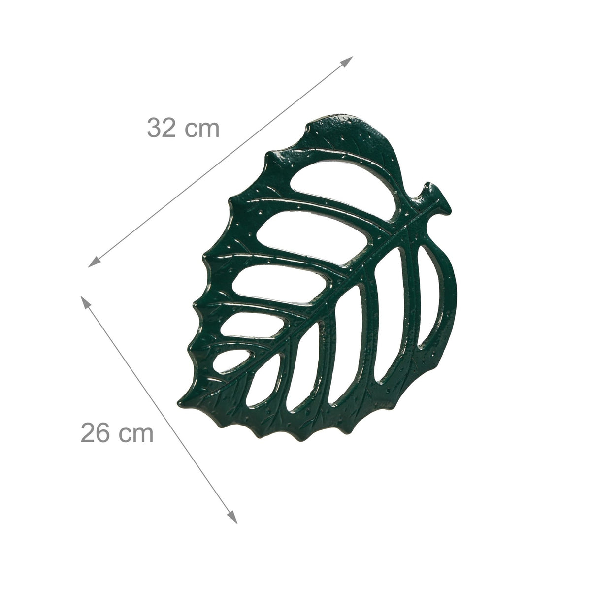 Garden steps stone leaf