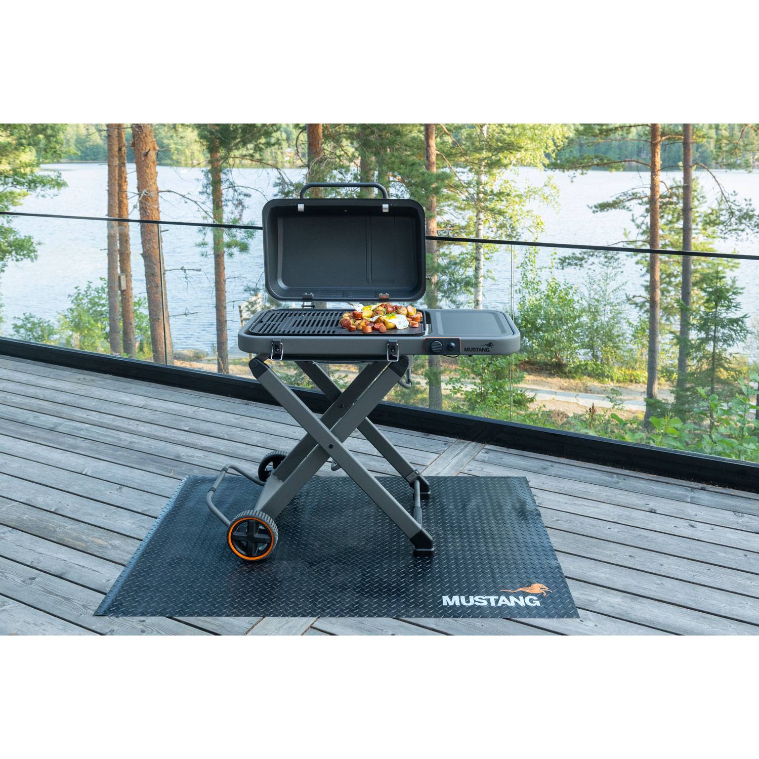 Gas grill Fold