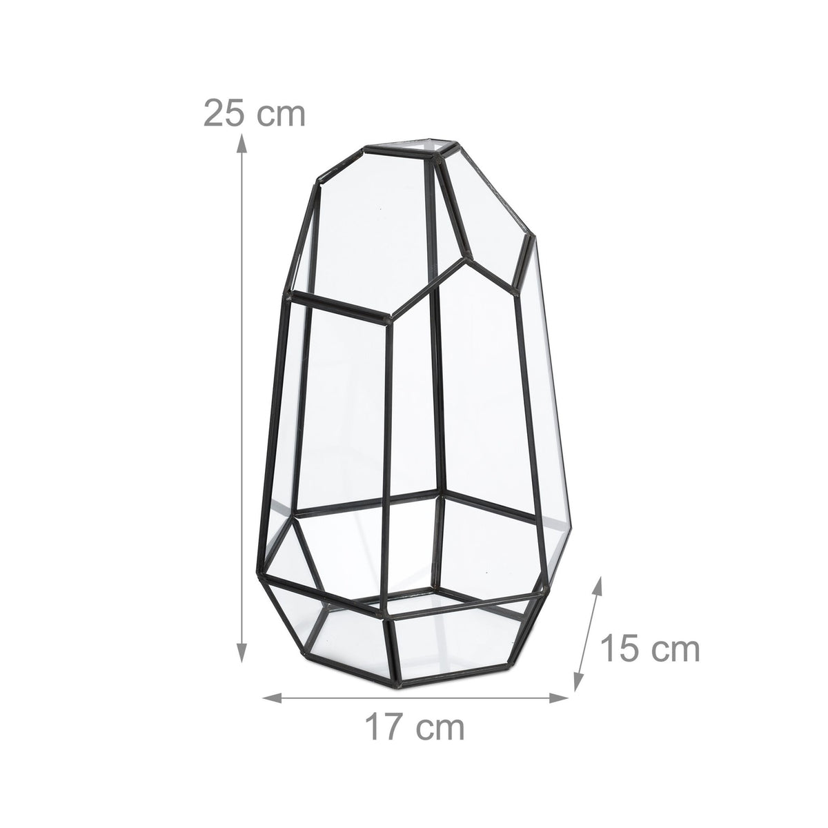 Geometric Glass Terrarium for Succulents, 25 cm