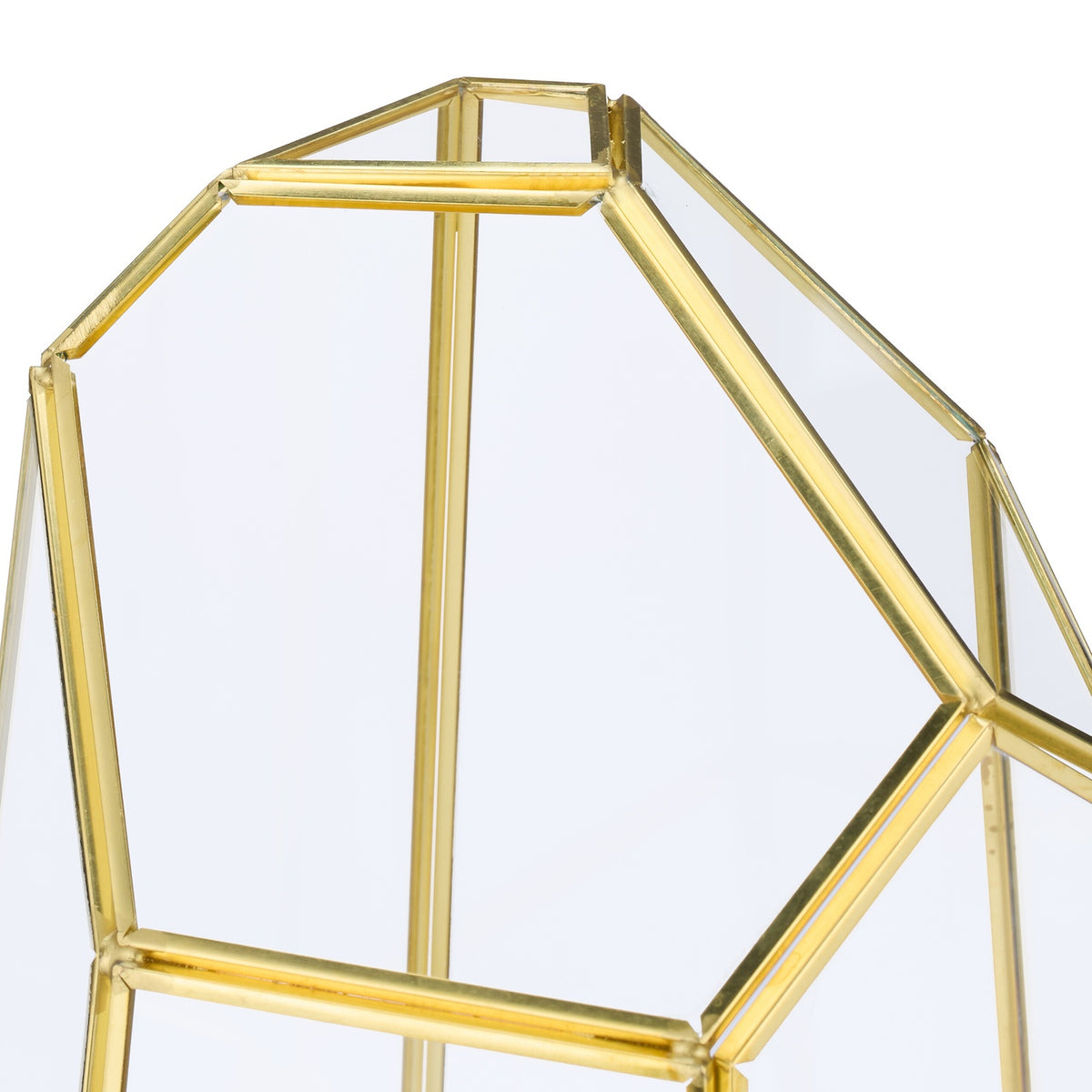 Geometric Glass Terrarium for Succulents & Air Plants