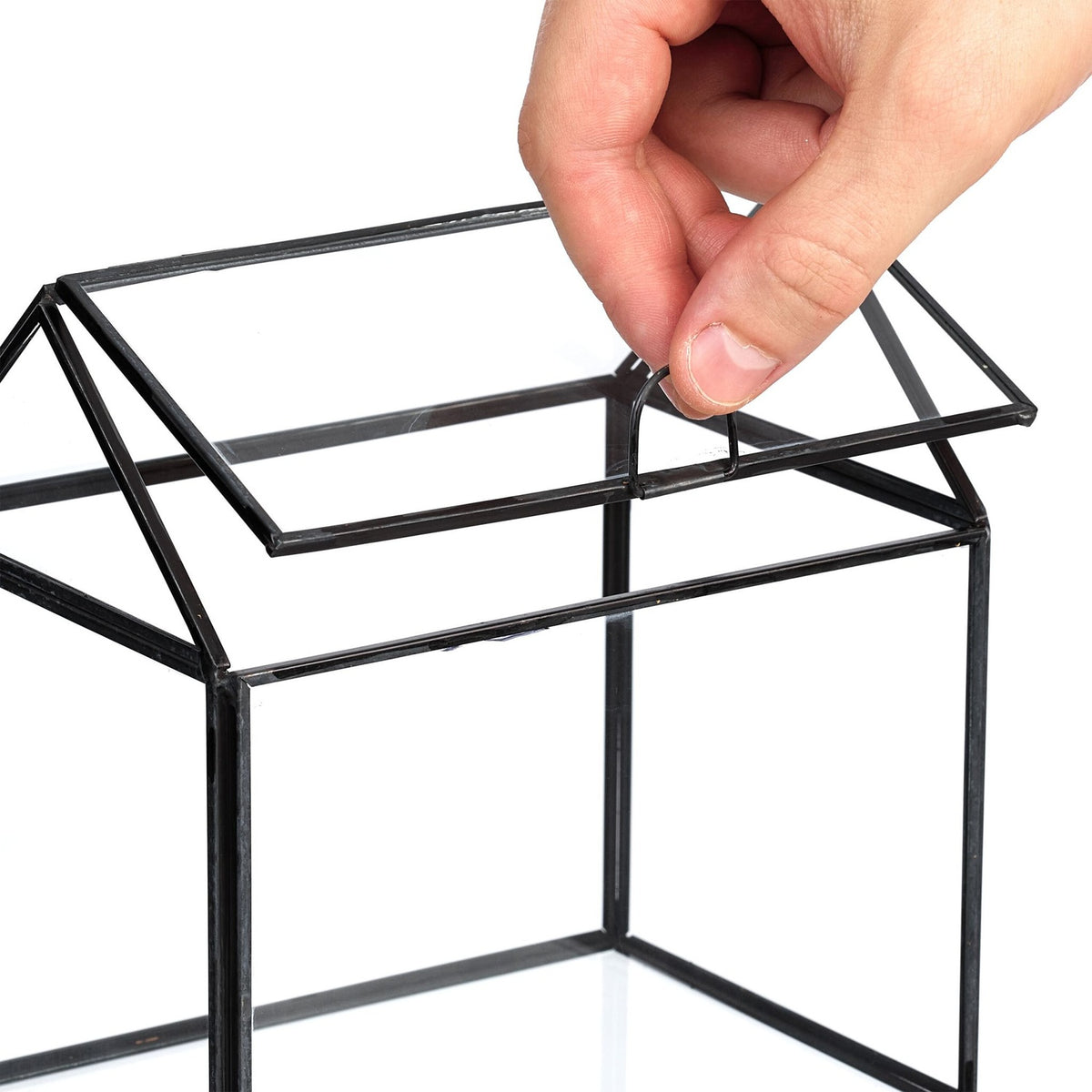 Glass Plant Terrarium, House Shape, Compact Size