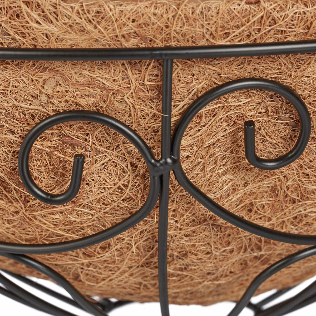 Grapevine Set of 3 Coconut