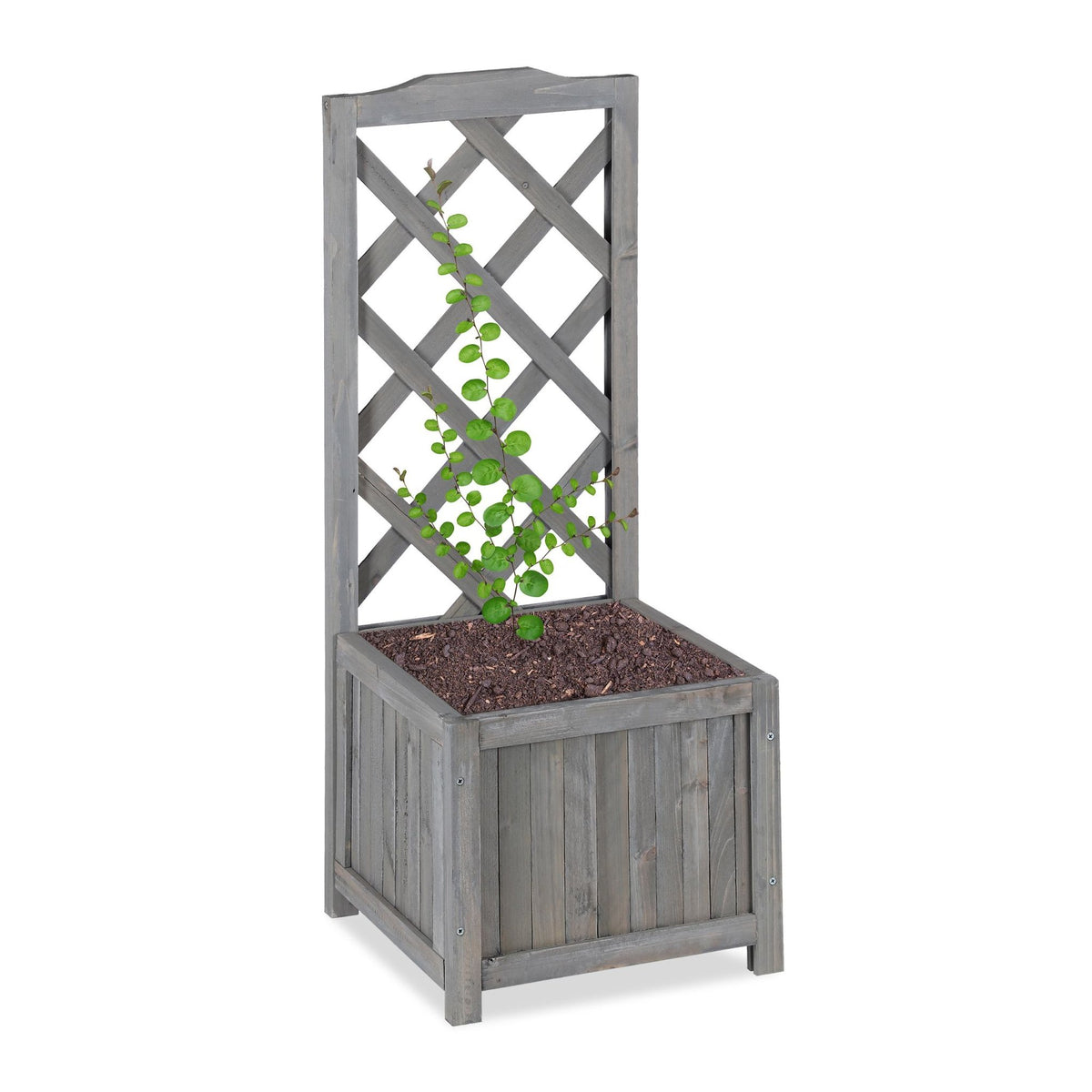 Gray planter box with trellis