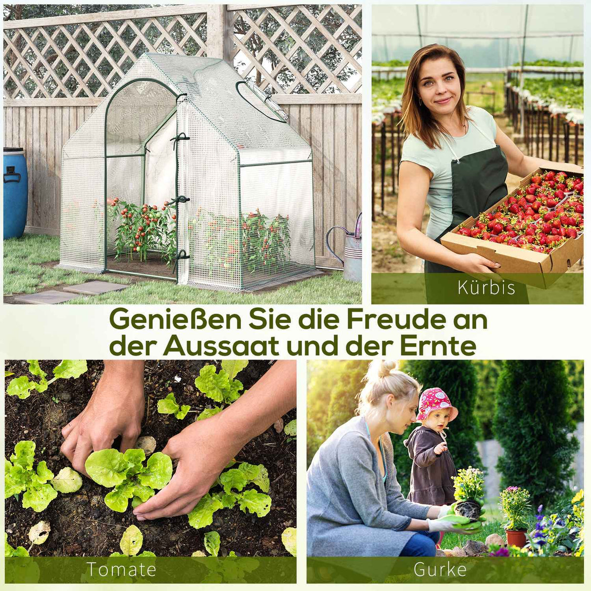 Greenhouse, 180 x 100 x 168 cm film greenhouse with roller door, greenhouse, tomato house with top window, PE grid film, winterproof plant house for garden, balcony, white