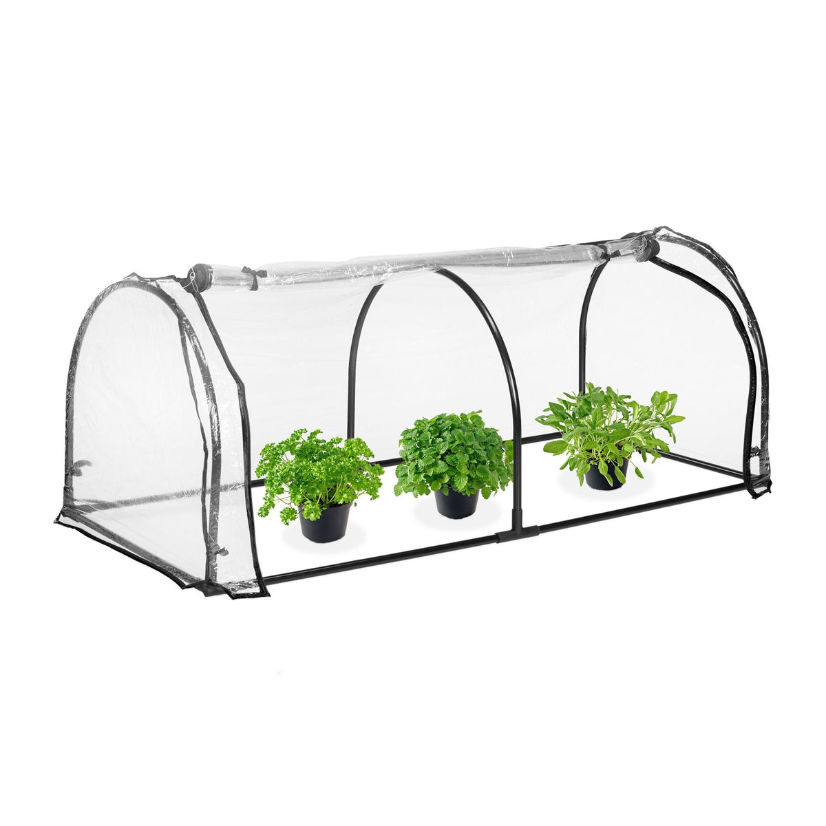 Greenhouse tunnel PVC