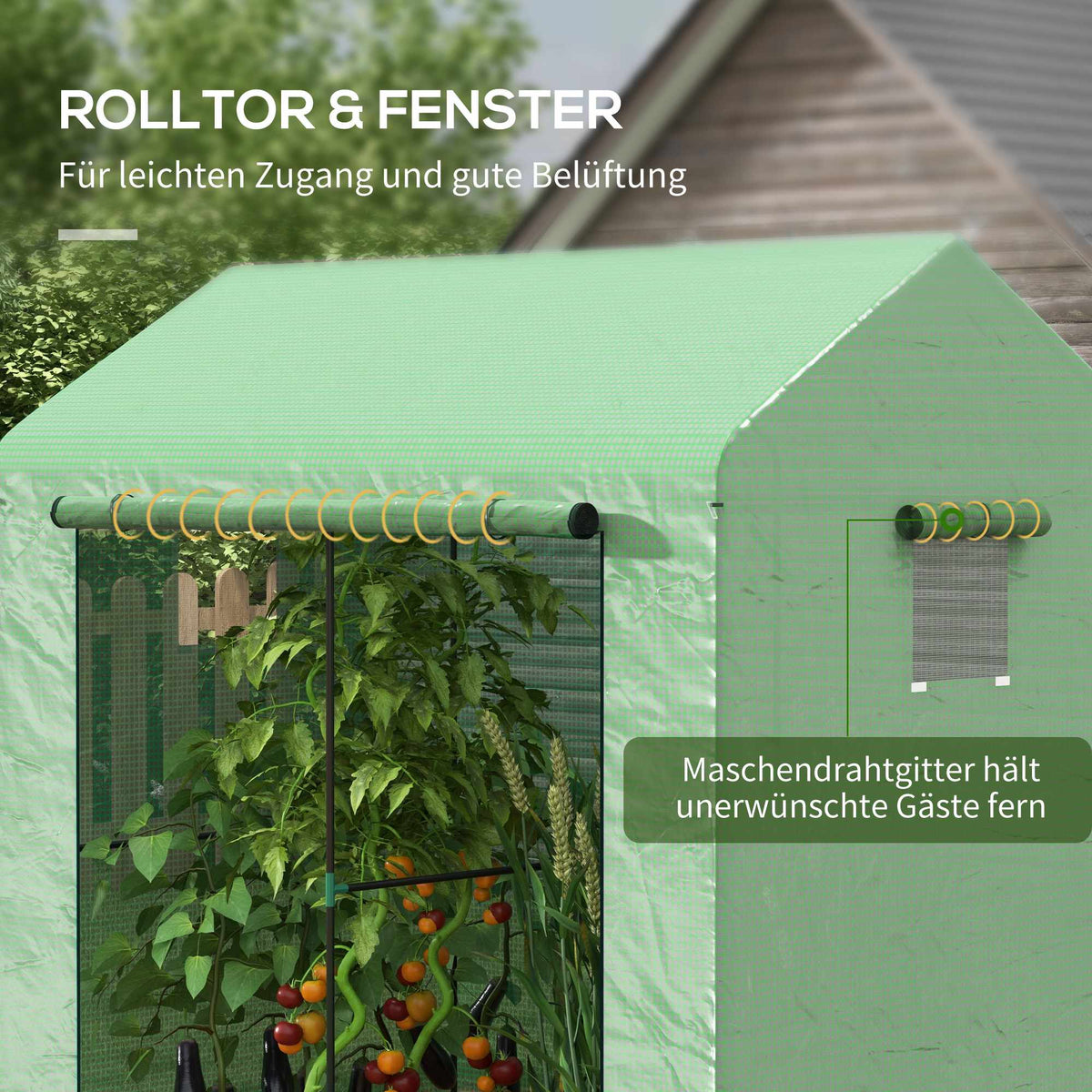 Greenhouse with Roll-Up Door, 200 x 200 x 140 cm, Green