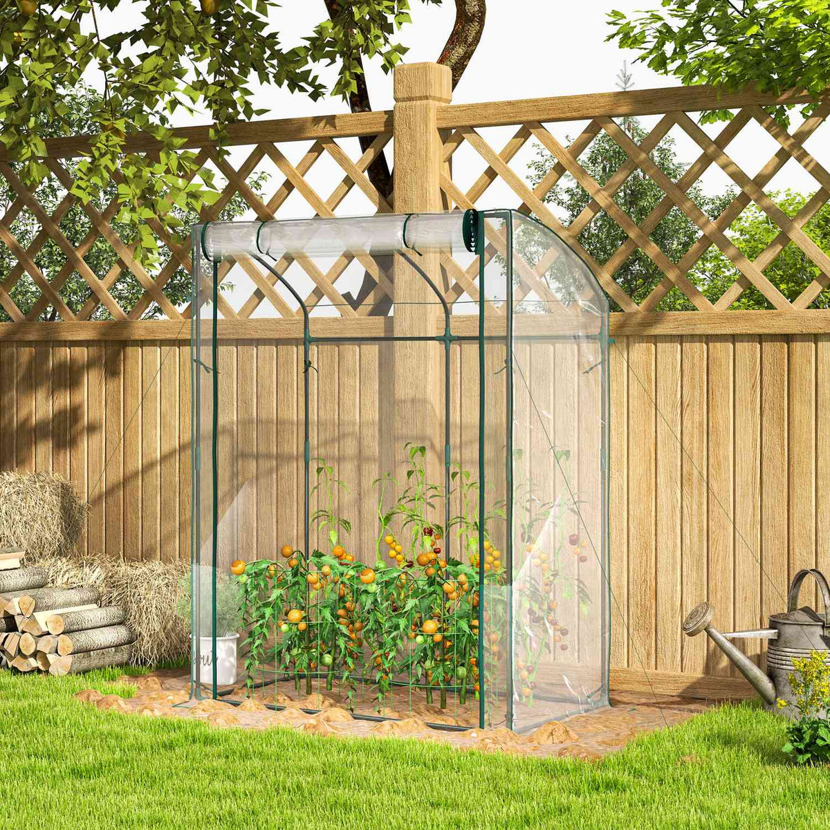 Greenhouse with door, curved roof, winterproof, foil greenhouse made of steel, greenhouse for balcony, garden, tomato house 128 x 70 x 170 cm, tomato greenhouse for tomatoes, flowers, transparent