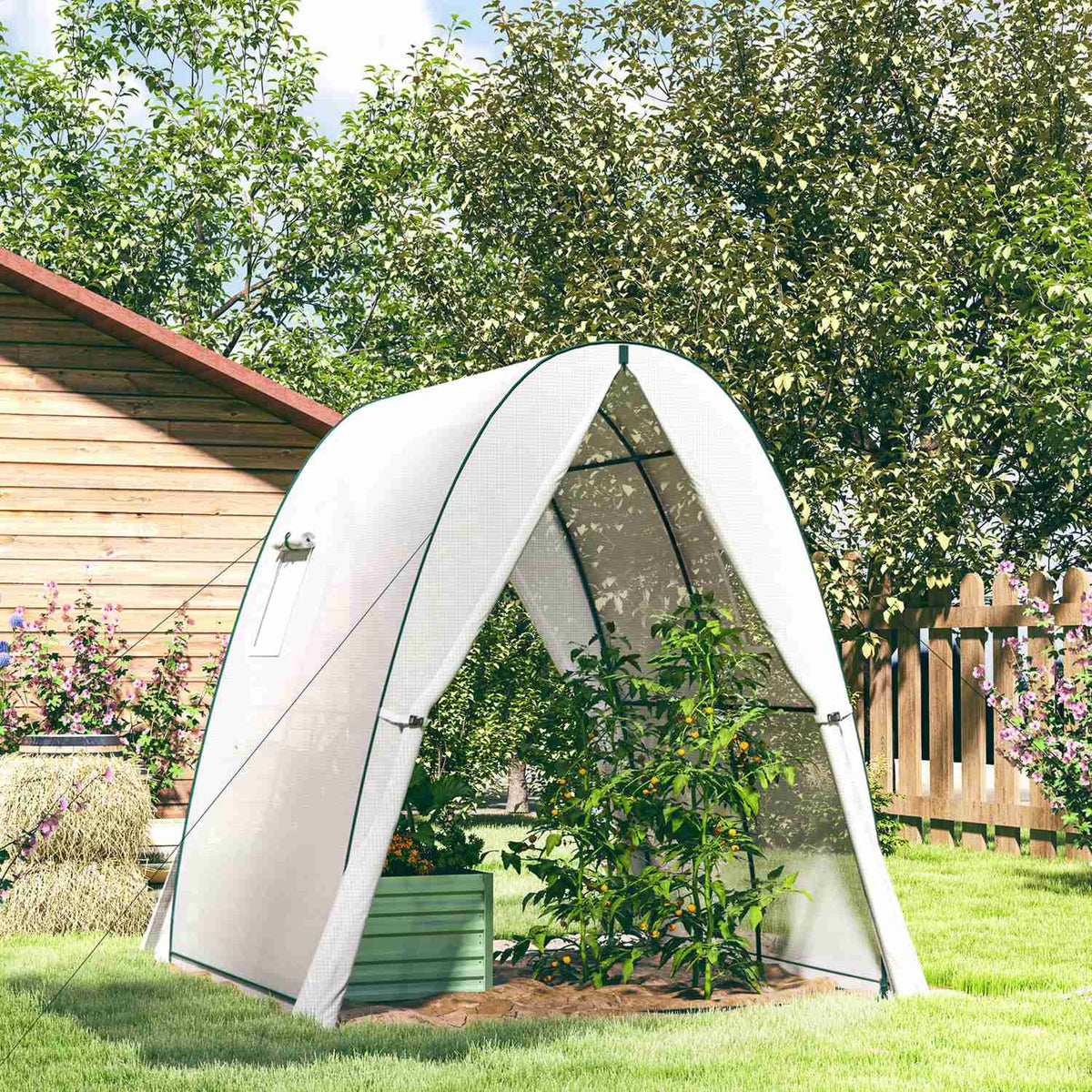 Greenhouse with rolling door, 2 windows, winterproof steel foil greenhouse, greenhouse for balcony, garden, tomato house 180 x 180 x 200 cm, tomato greenhouse for tomatoes, vegetables, flowers, white