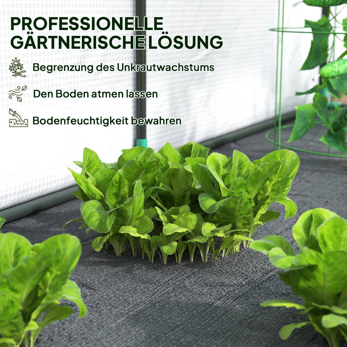 Greenhouse with rolling door, winterproof film greenhouse made of steel, greenhouse for balcony, garden, tomato house with UV protection 200x80x157cm tomato greenhouse for vegetables flowers plants white