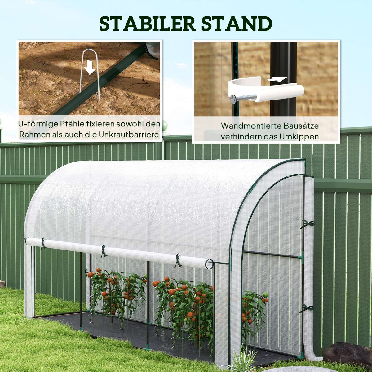 Greenhouse with rolling door, winterproof film greenhouse made of steel, greenhouse for balcony, garden, tomato house with UV protection 300x80x157cm tomato greenhouse for vegetables flowers plants white