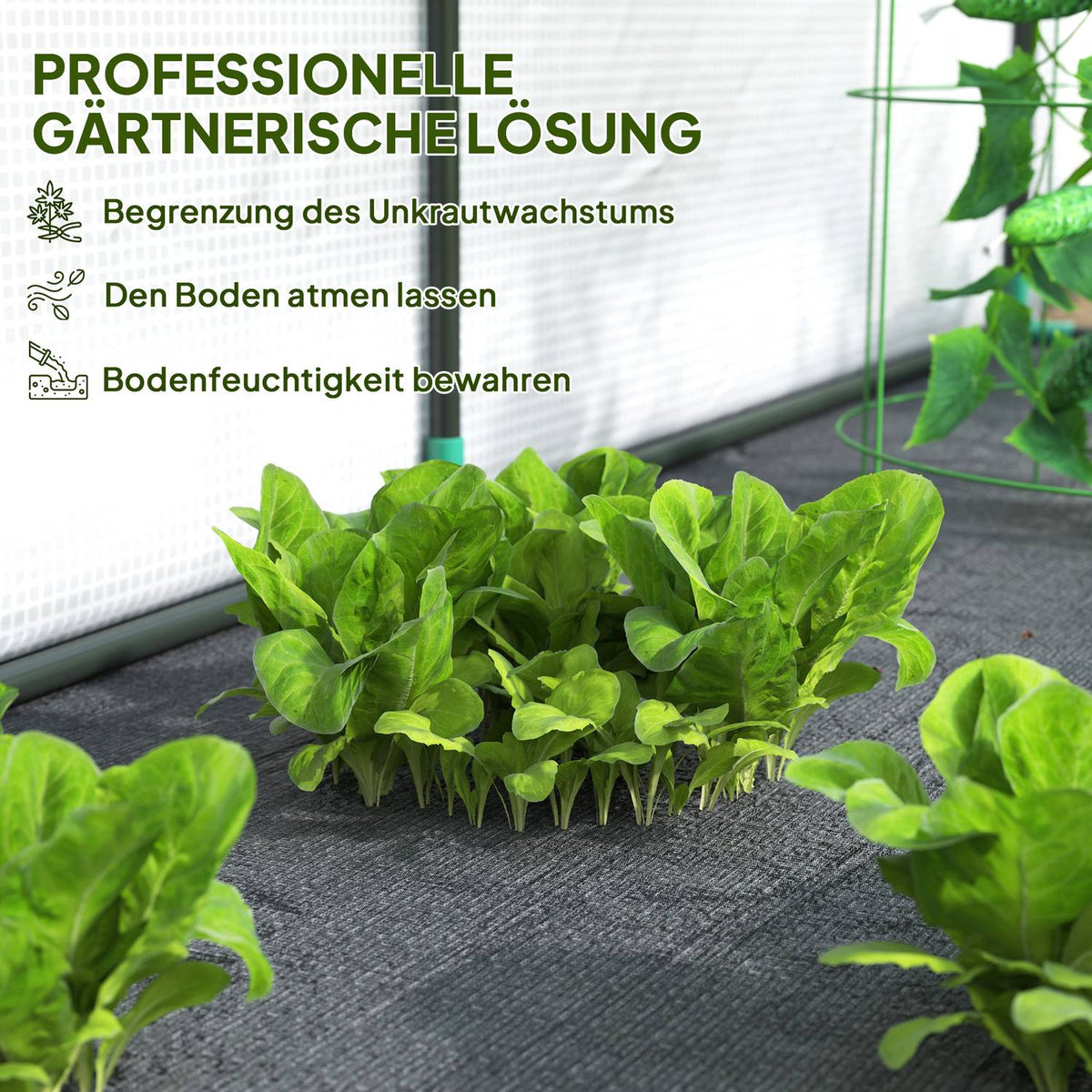 Greenhouse with rolling door, winterproof film greenhouse made of steel, greenhouse for balcony, garden, tomato house with UV protection 300x80x157cm tomato greenhouse for vegetables flowers plants white